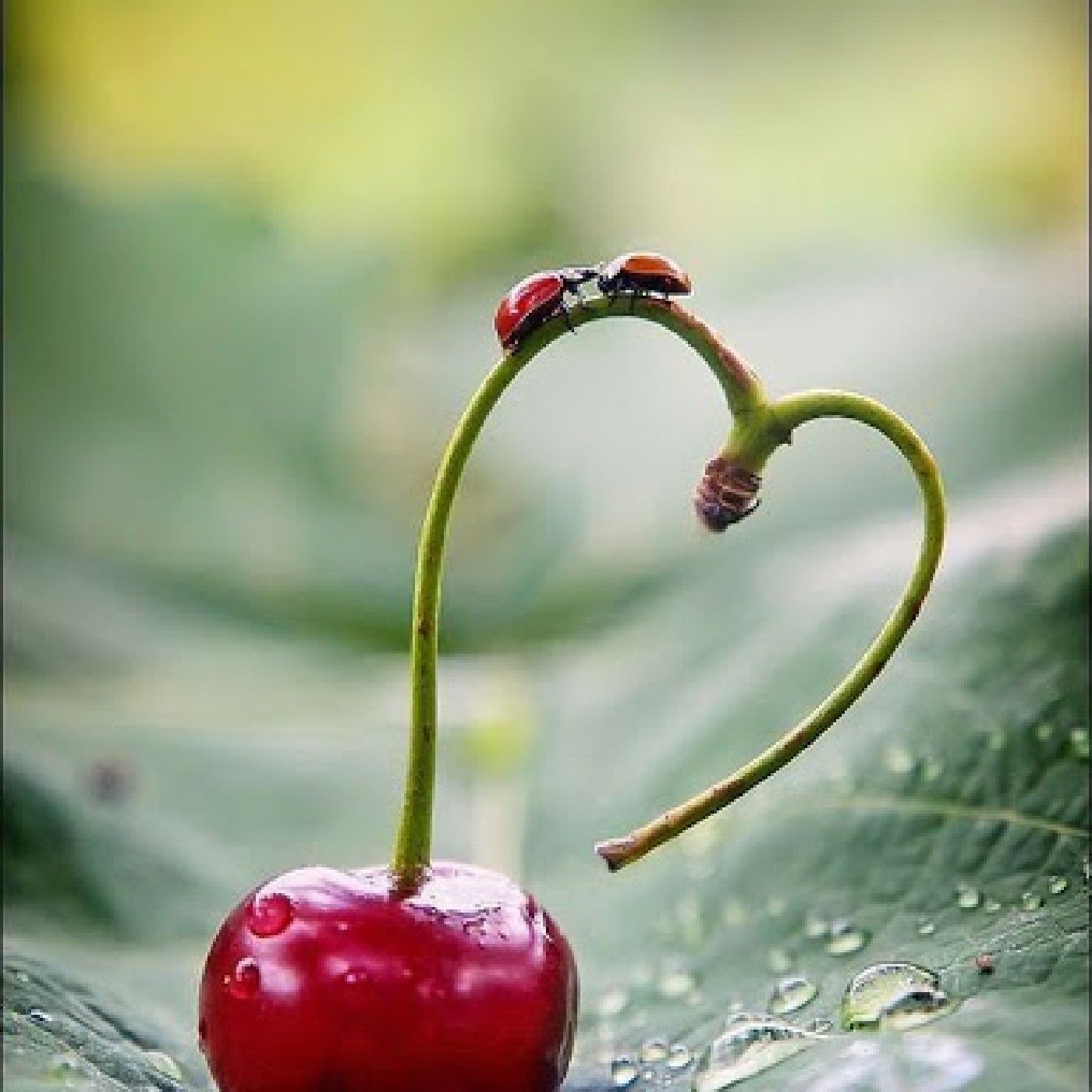 Empatia Y Tolerancia Con Nuestro Medio A