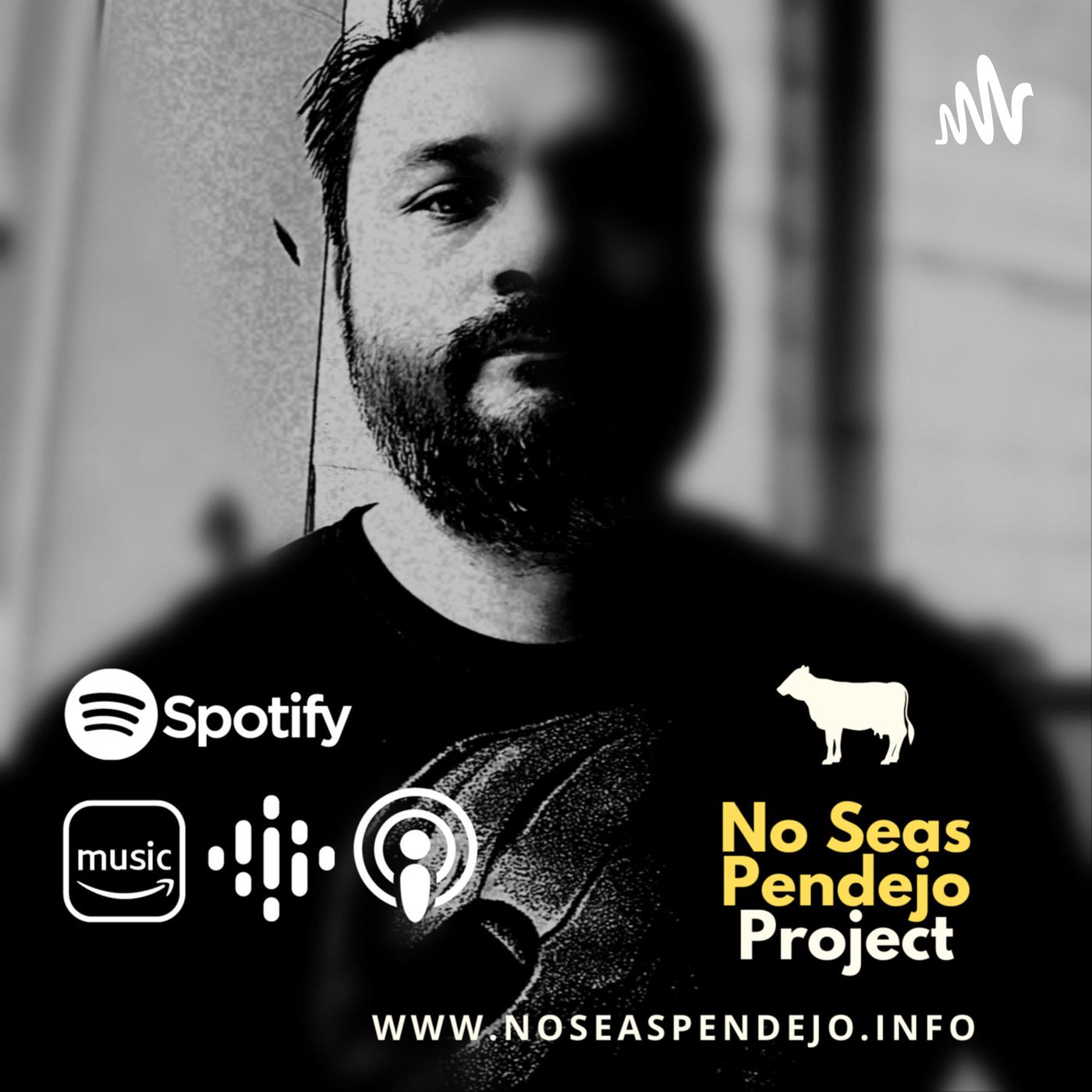 No Seas Pendejo Project