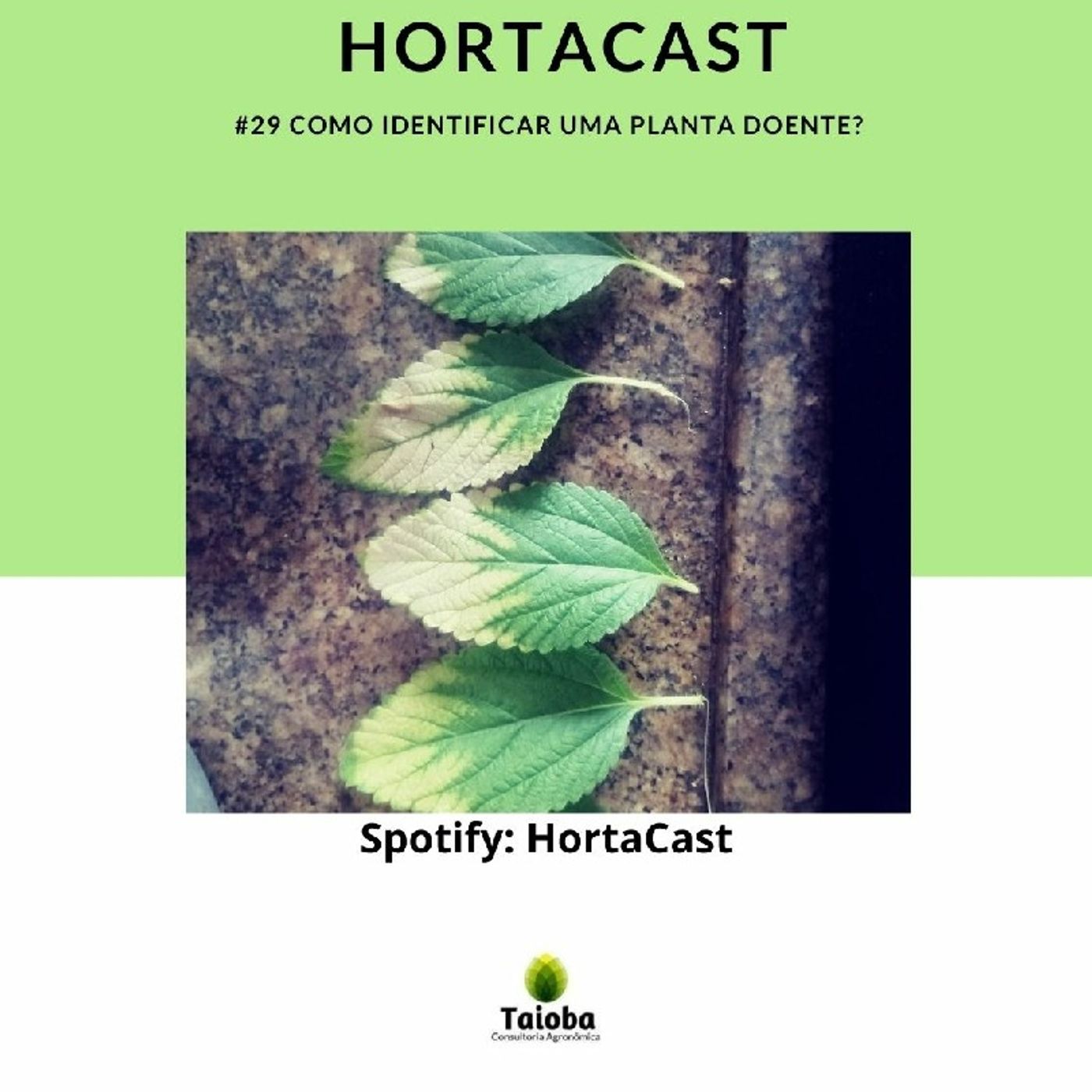 HortaCast\'s show