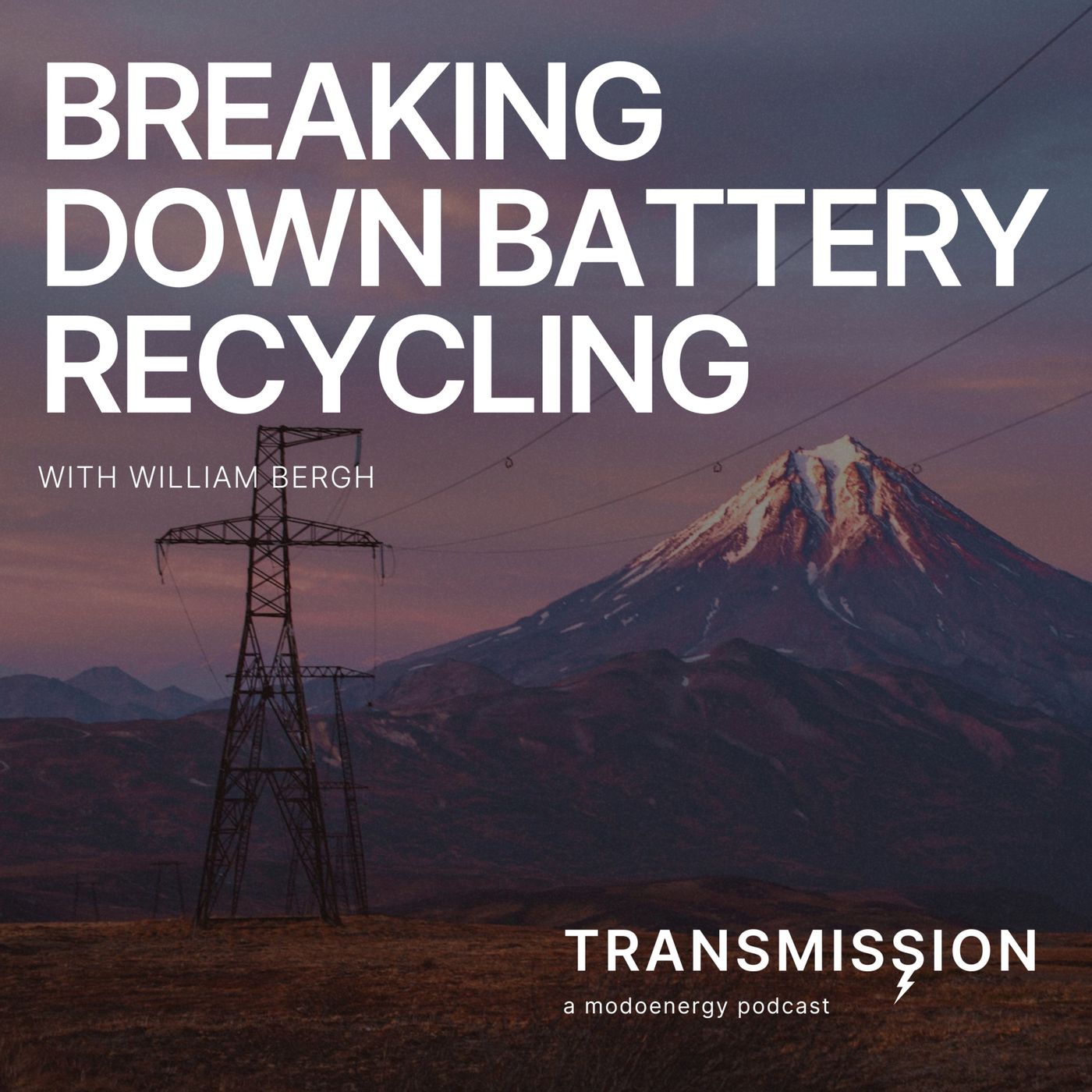 Breaking down battery recycling with William Bergh (CEO @ Cling Systems)