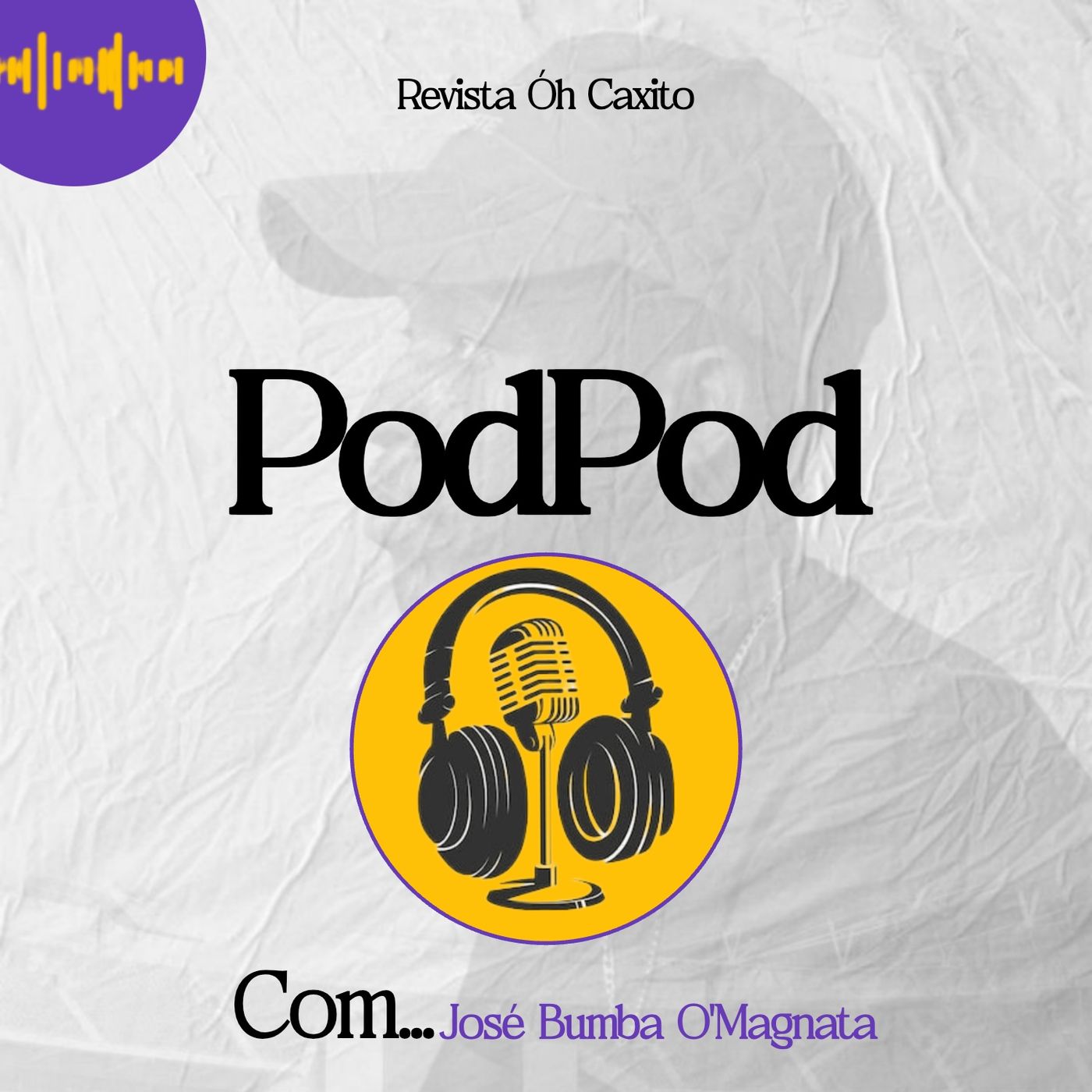 PodPod podcast artwork