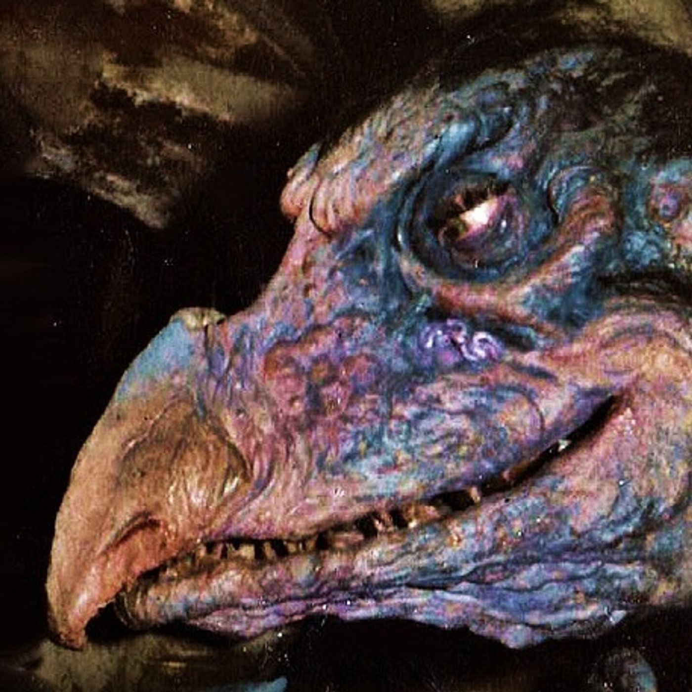 La Bruja Con Cara De Buitre Historias De Terror - REDE