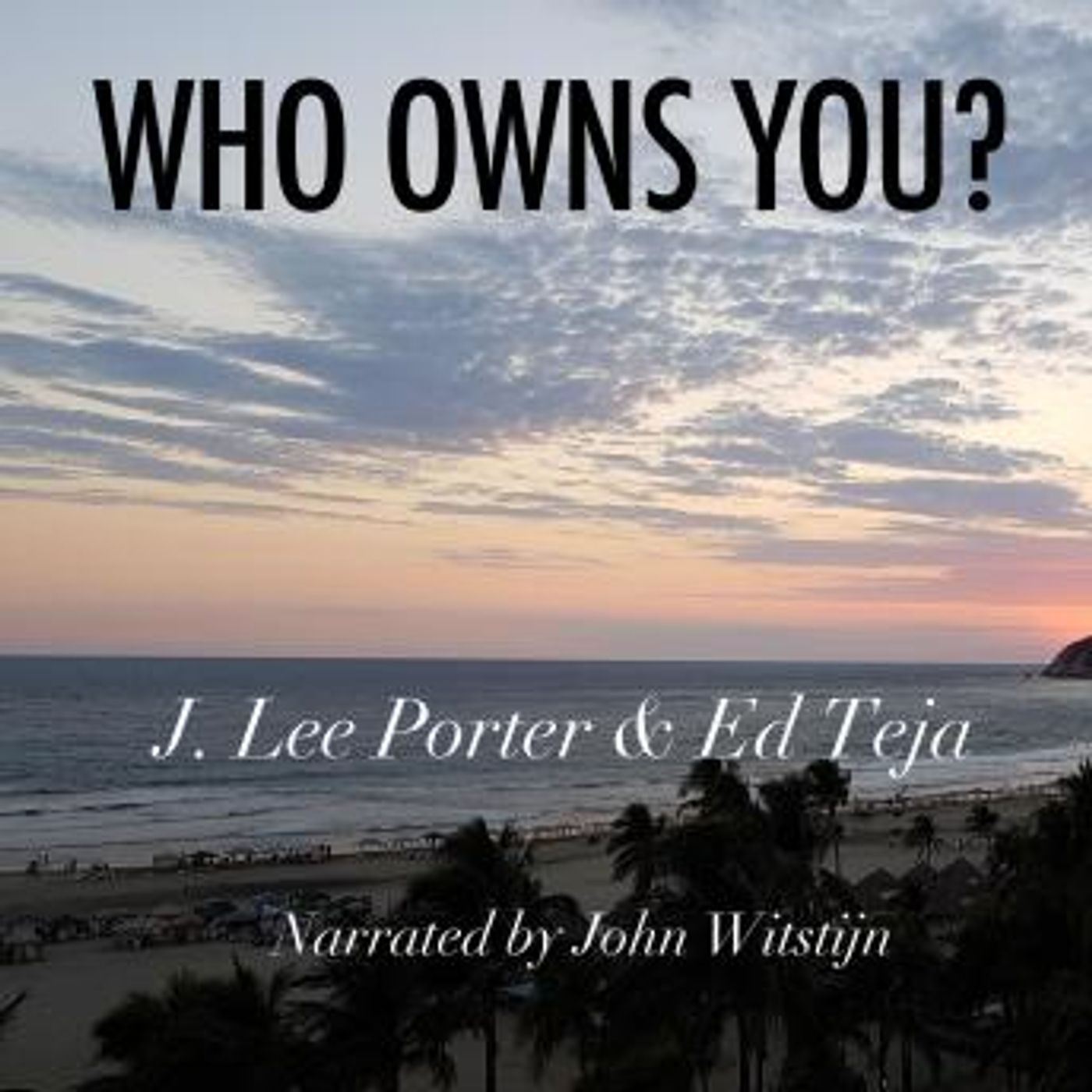 Who Owns You? by J. Lee Porter, Ed Teja episode artwork
