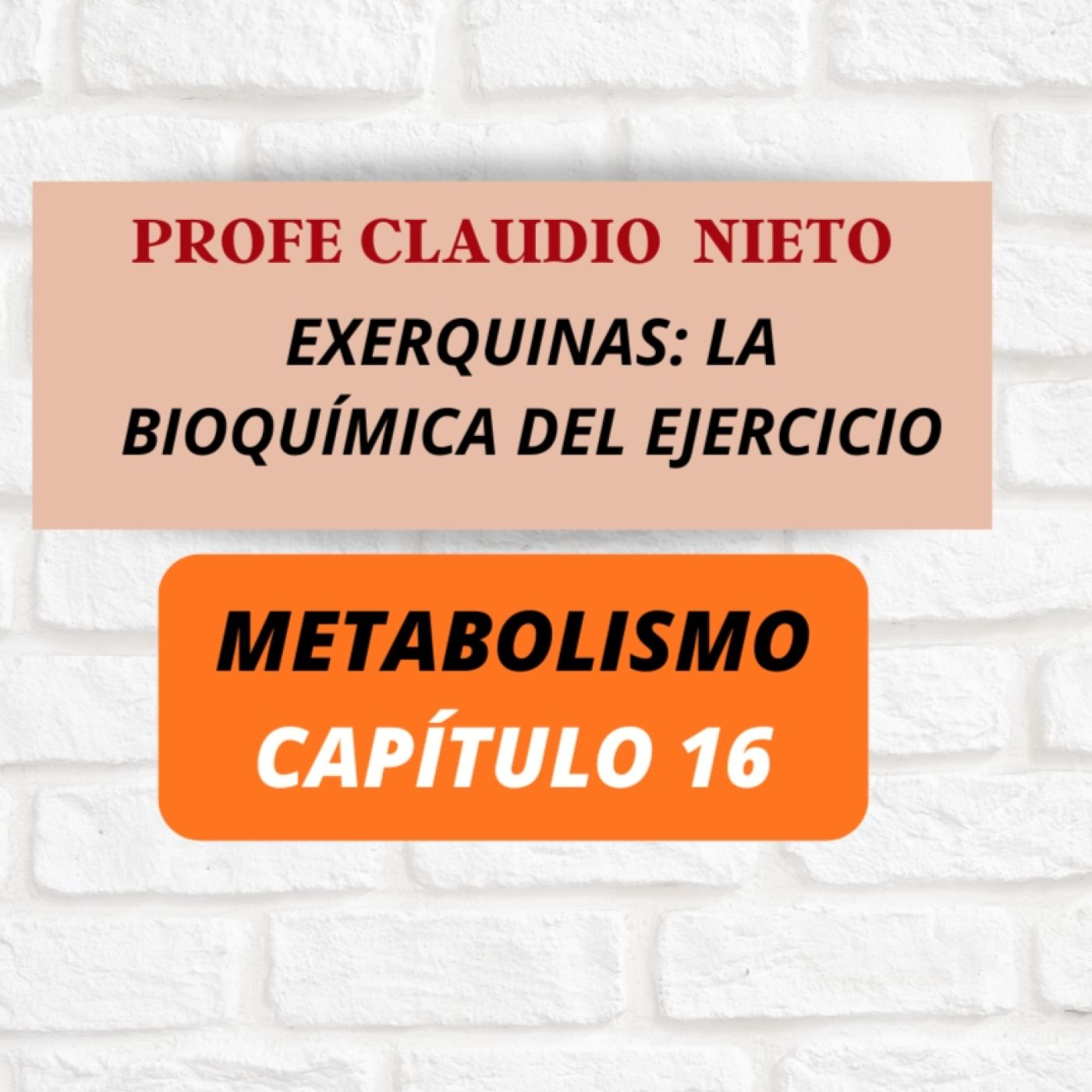 263.EXERQUINAS: la “farmacia” que tu cuerpo activa al entrenar/ #HORMONAS 16