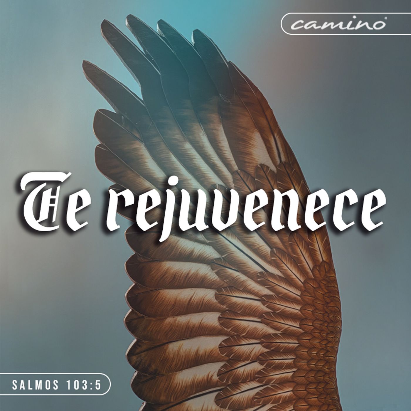 Oración 26 de mayo (Te rejuvenece) episode artwork
