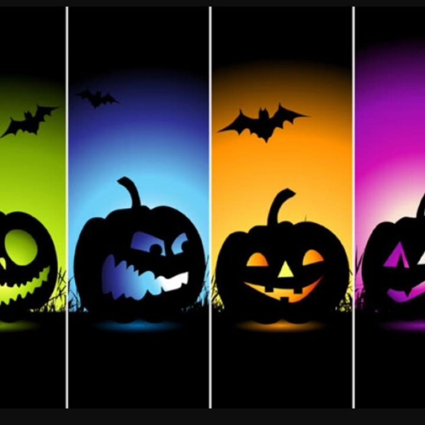 Fun Time With Sheen Rebitz