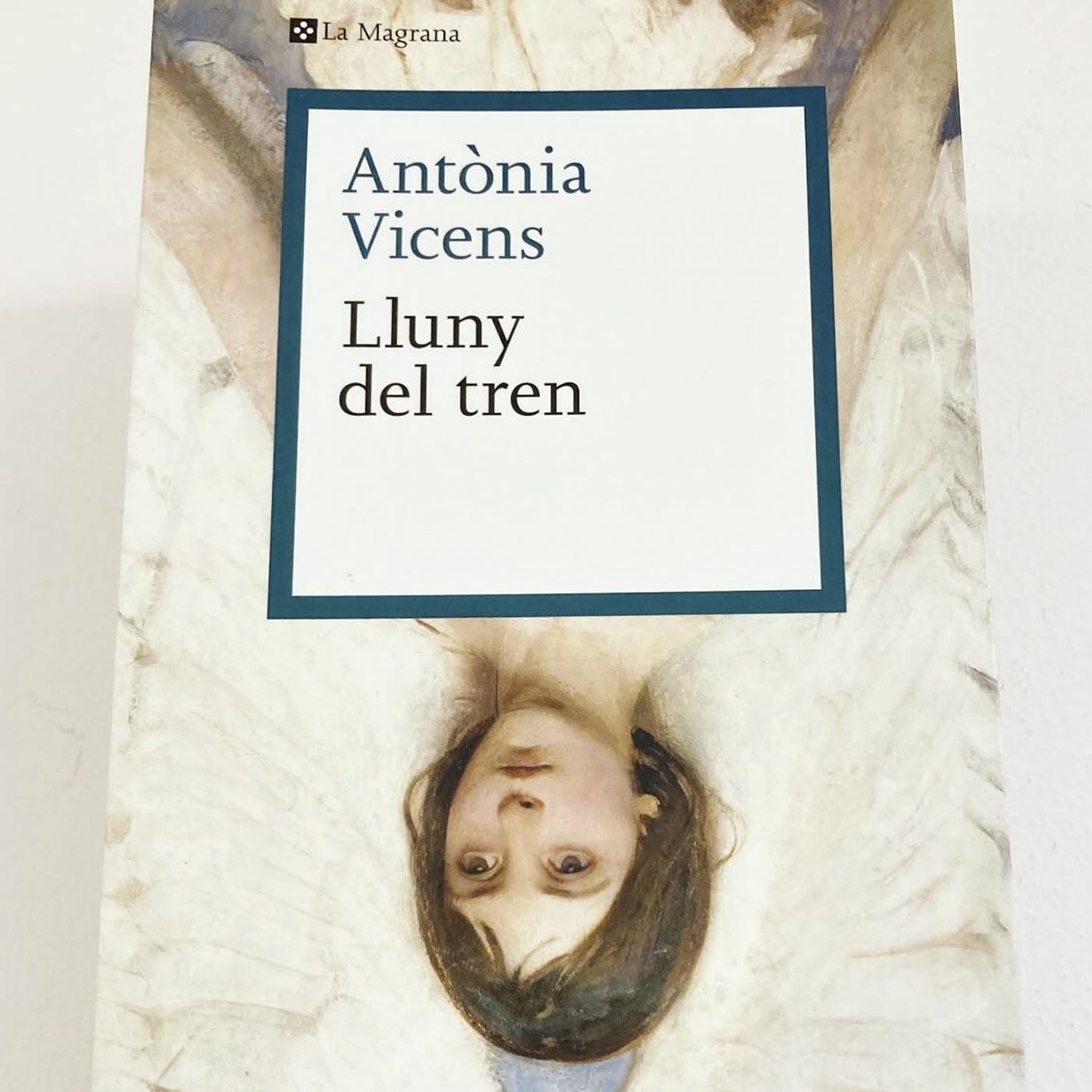 Lluny del tren, d'Antònia Vicens episode artwork