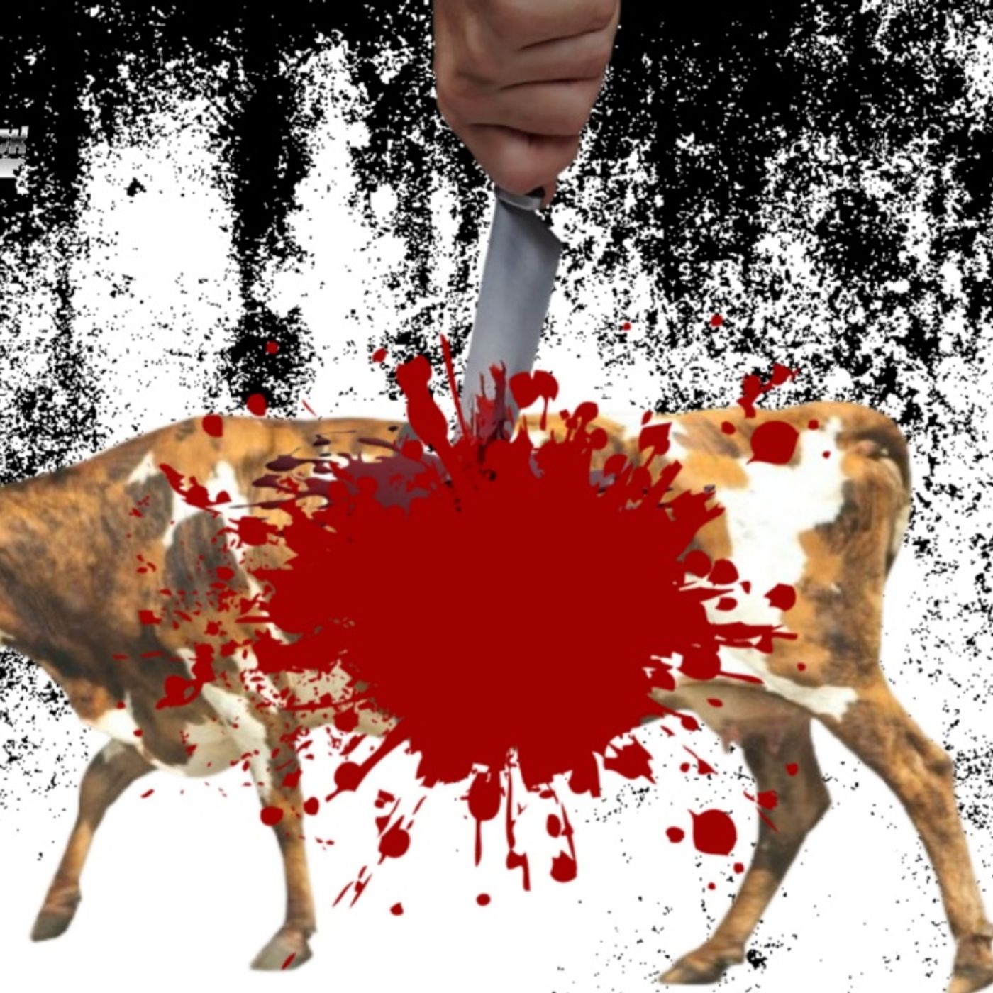Understanding Abraham And The Blood Covenant