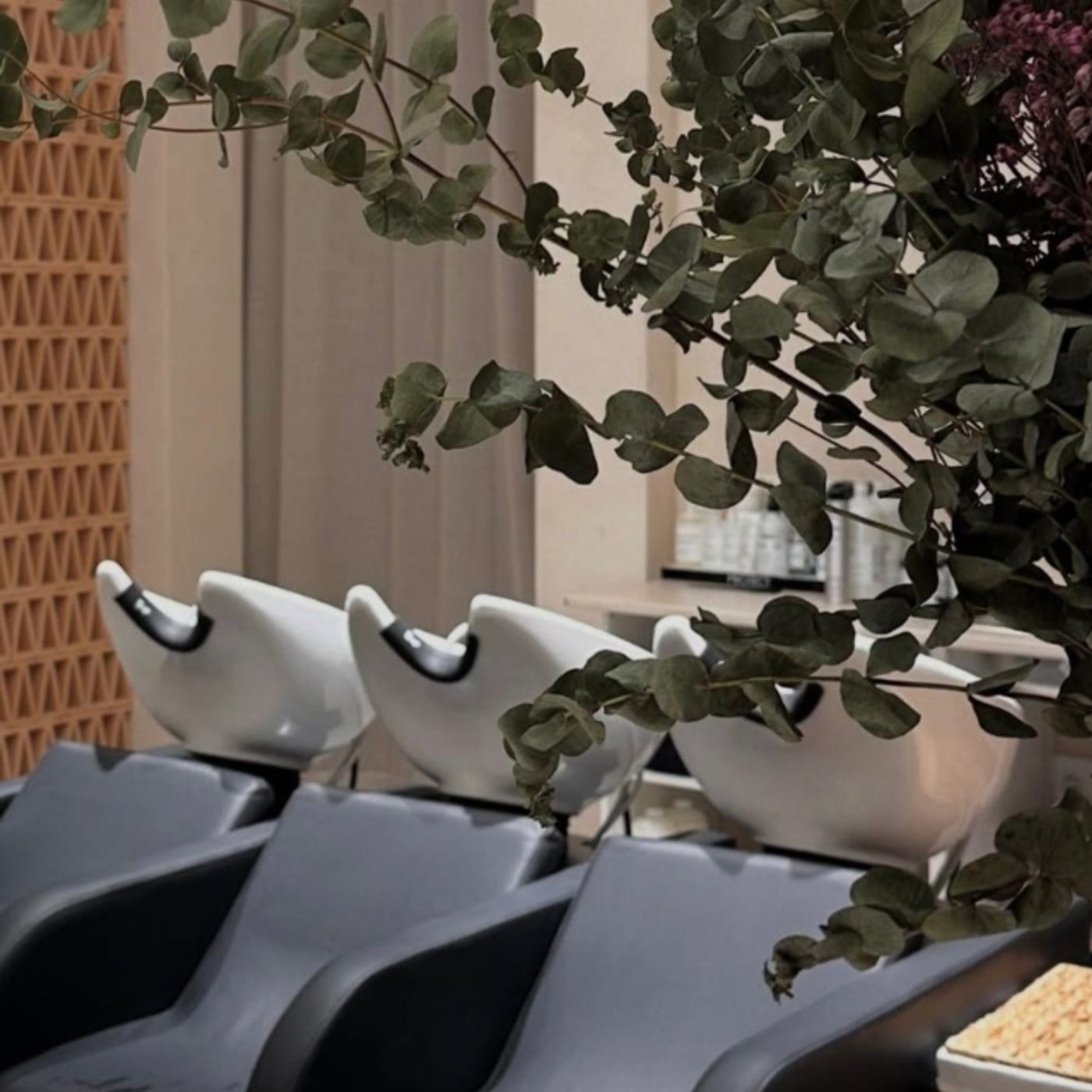 Belleza: Montenegro Beauty