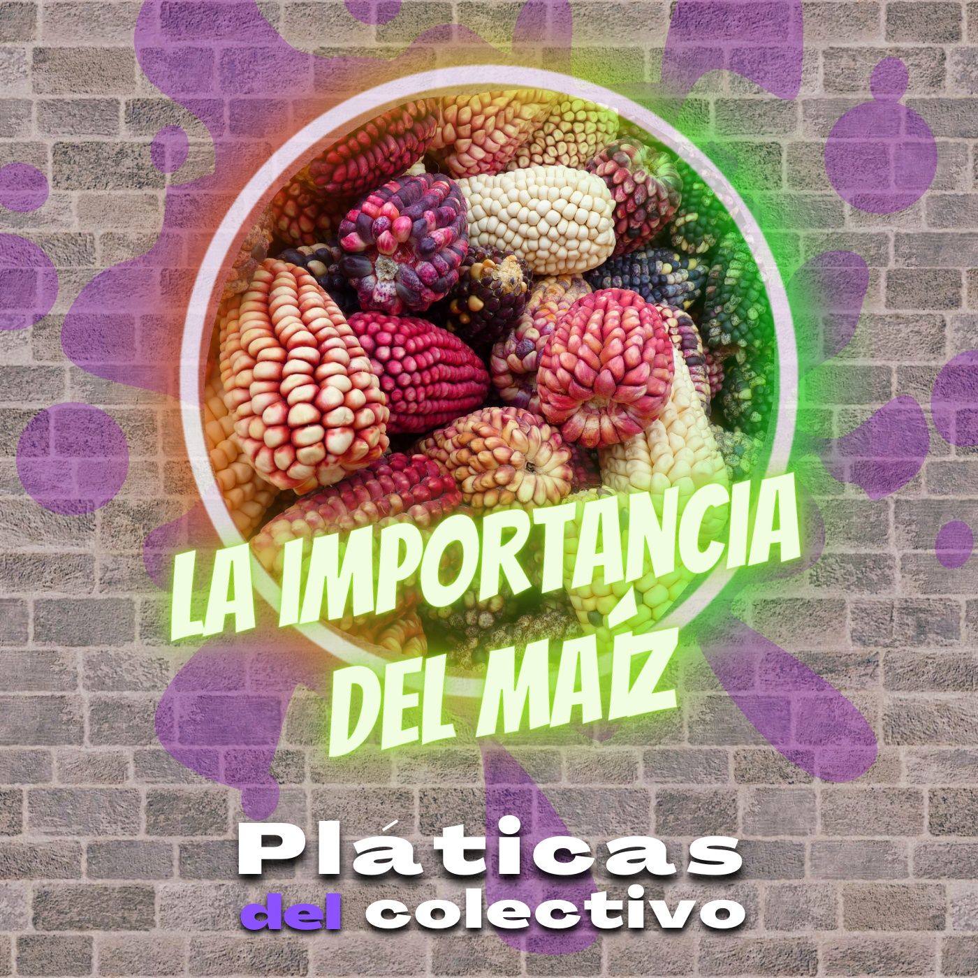 Pláticas del colectivo