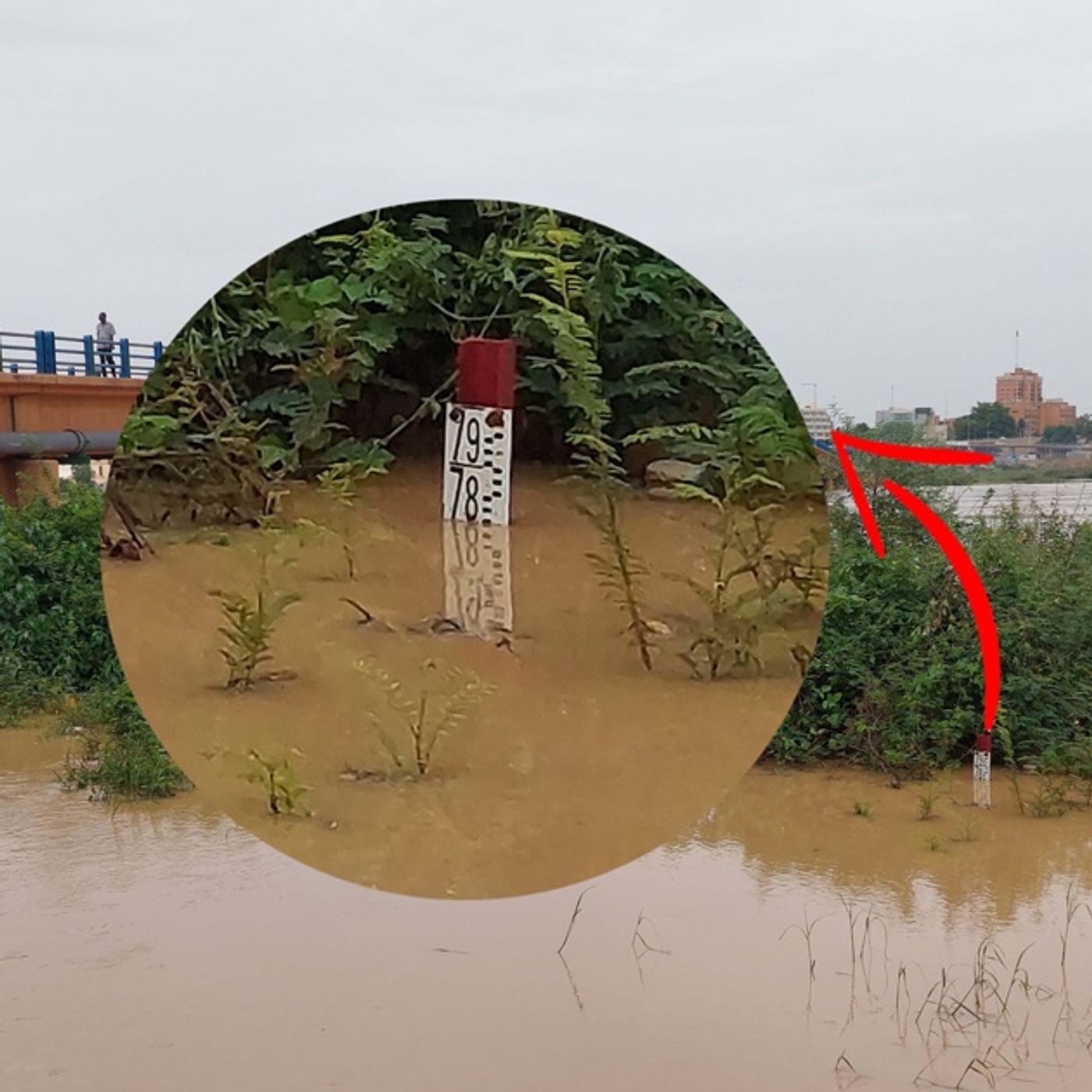 Crue du fleuve Niger à Tillabéry, vivierains en alerte episode artwork