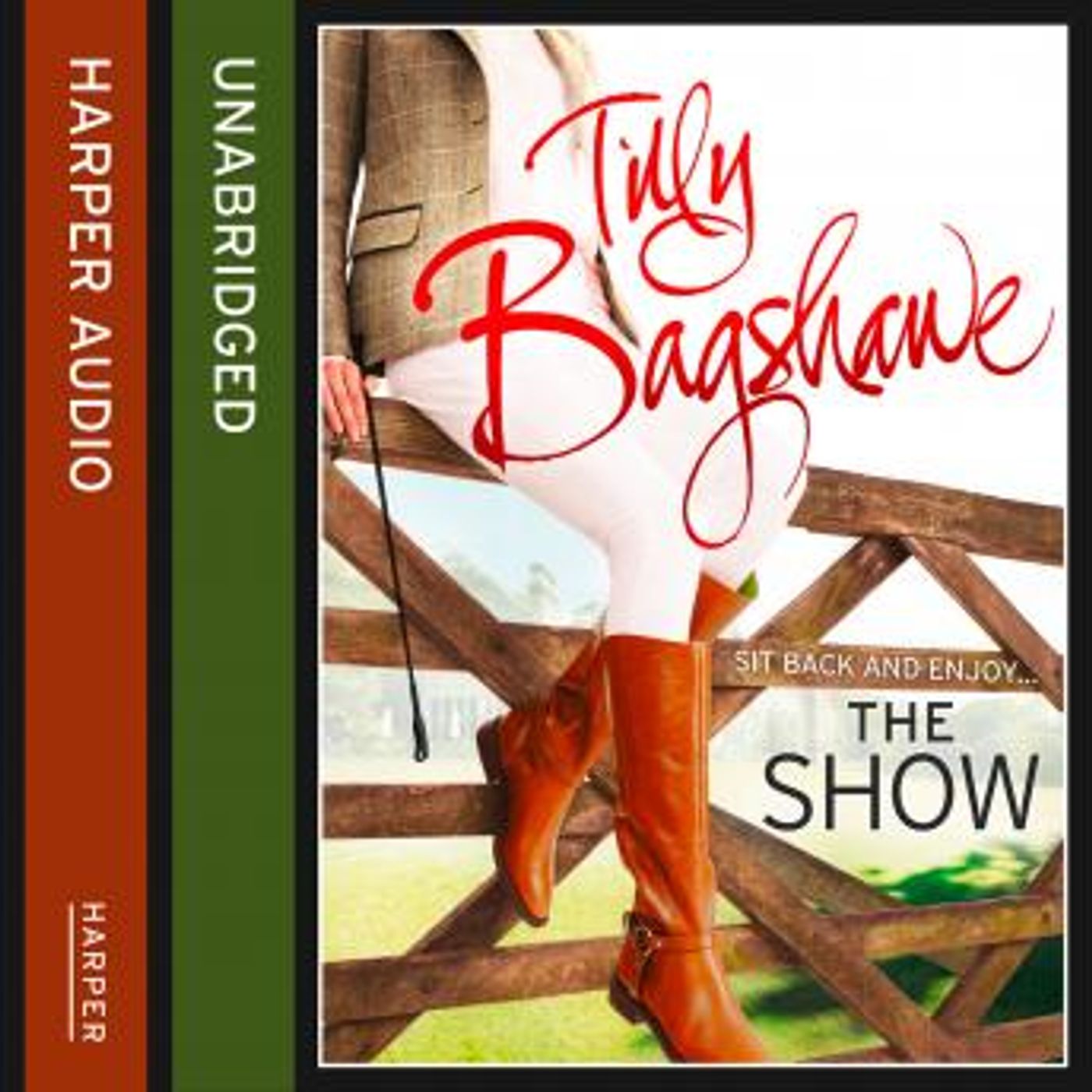 Download Incredible Full Audiobooks in Fiction, Contemporary Women