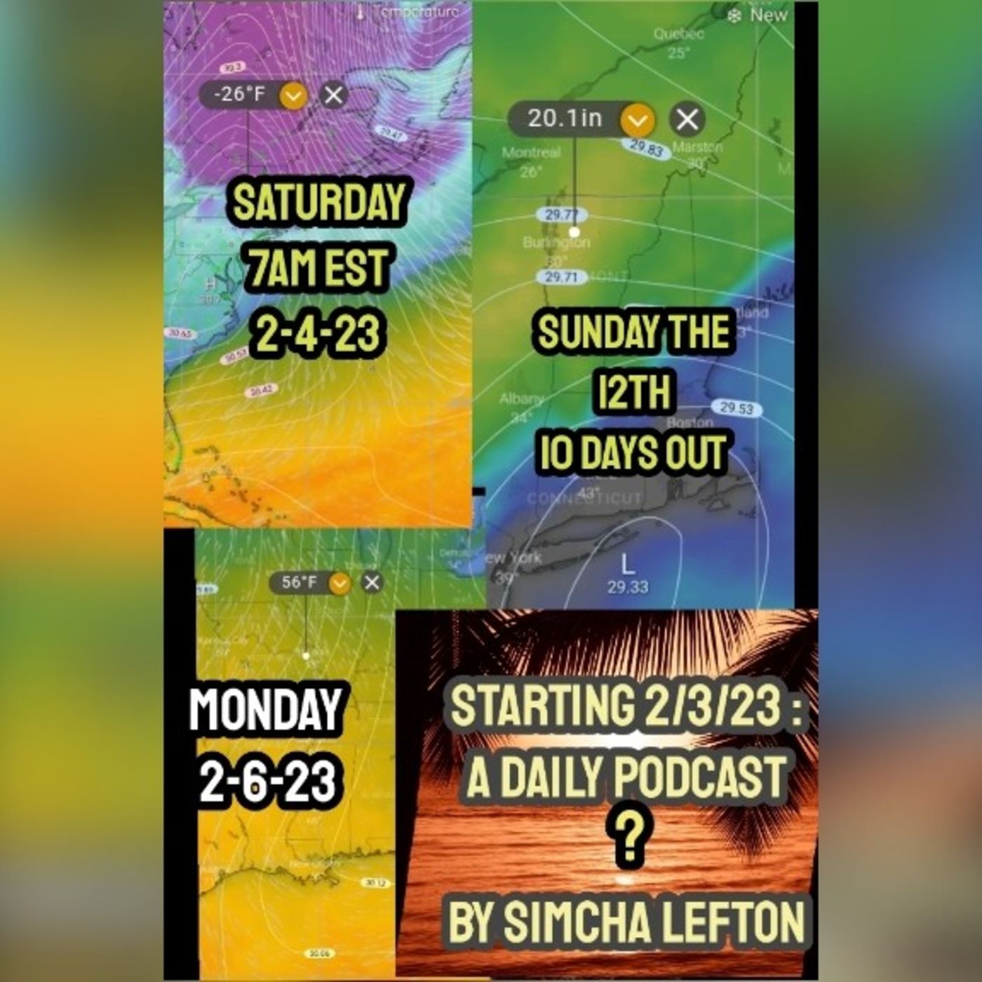2-3:Extreme arctic cold followed by unseasonable warmth followed by a major nor'easter next weekend.