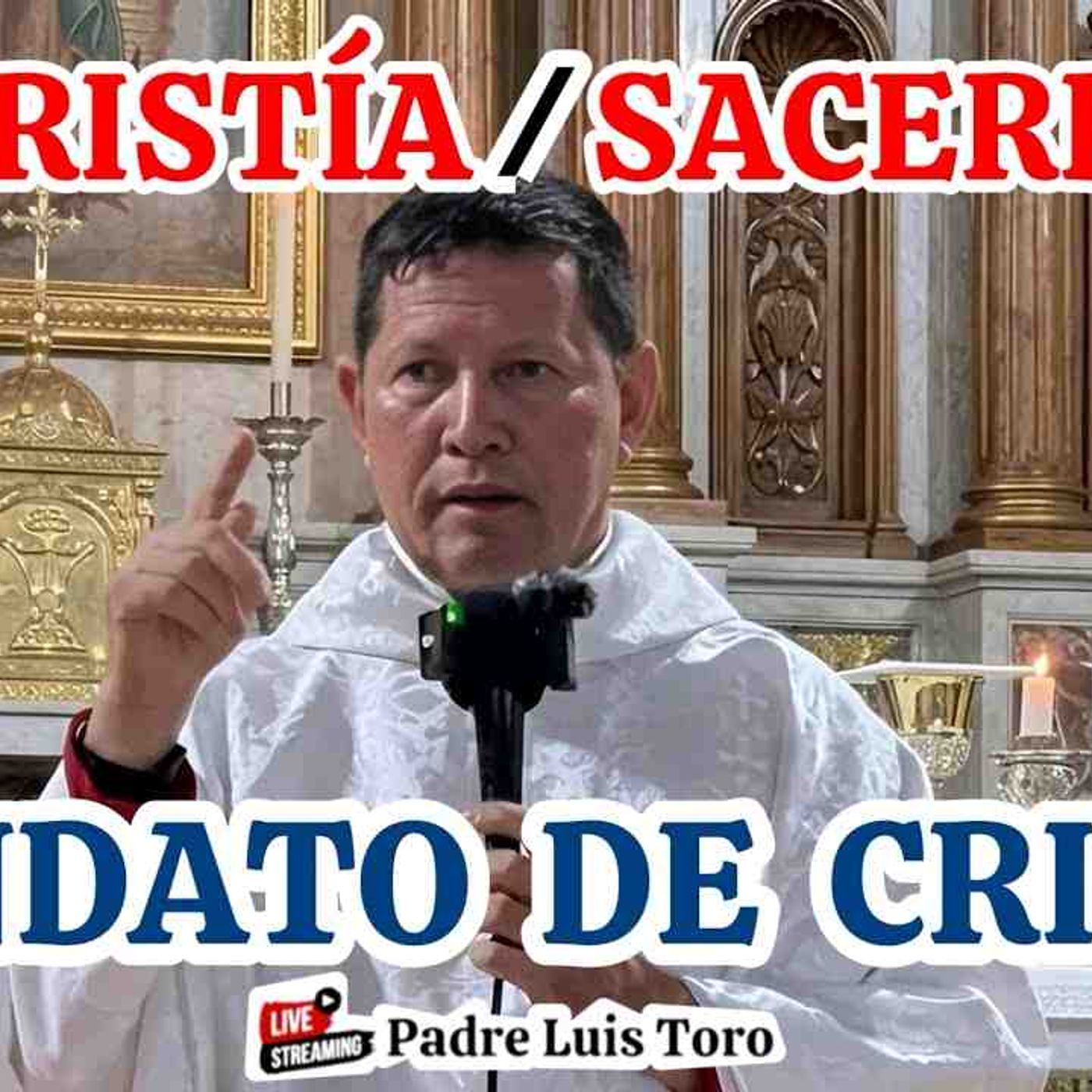 47-26_ ¿SABÍAS que los SACERDOTES de la IGLESIA CATÓLICA si APARECEN en la BIBLIA_😱PADRE LUIS TORO episode artwork