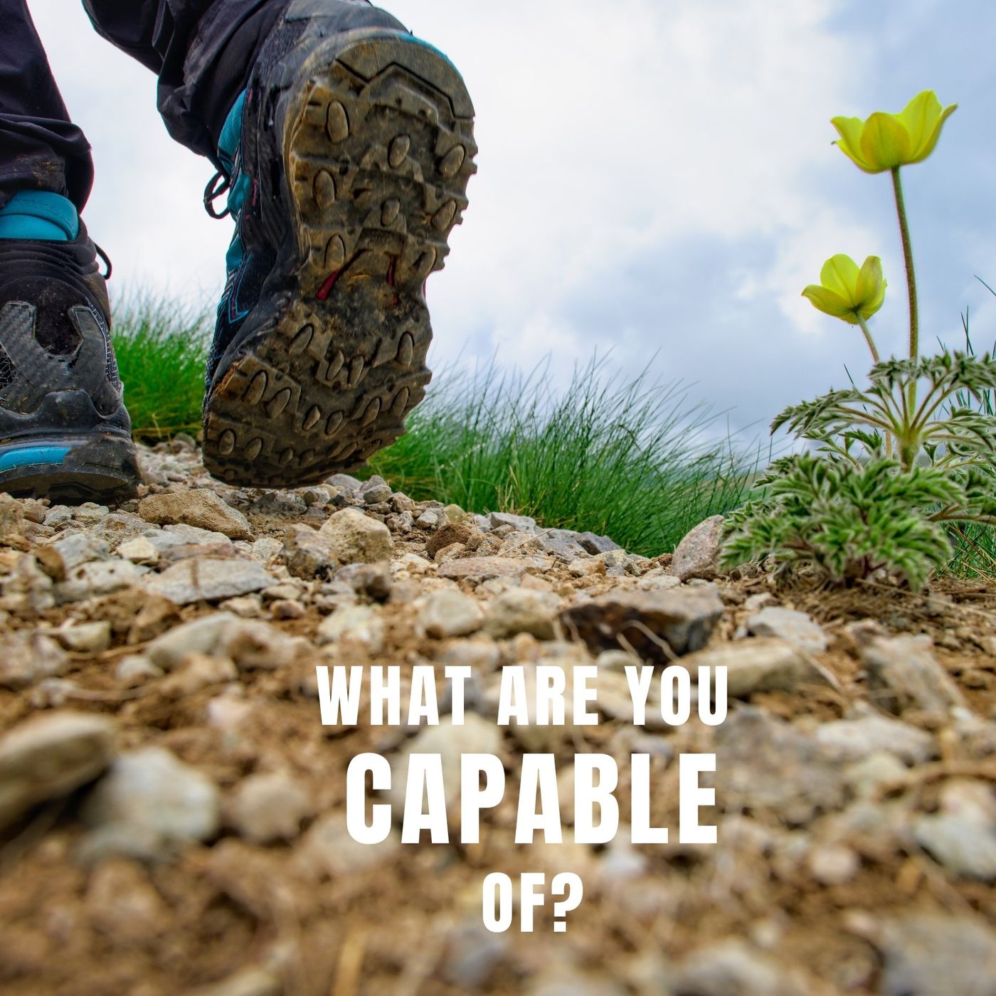What Are You Capable Of? episode artwork
