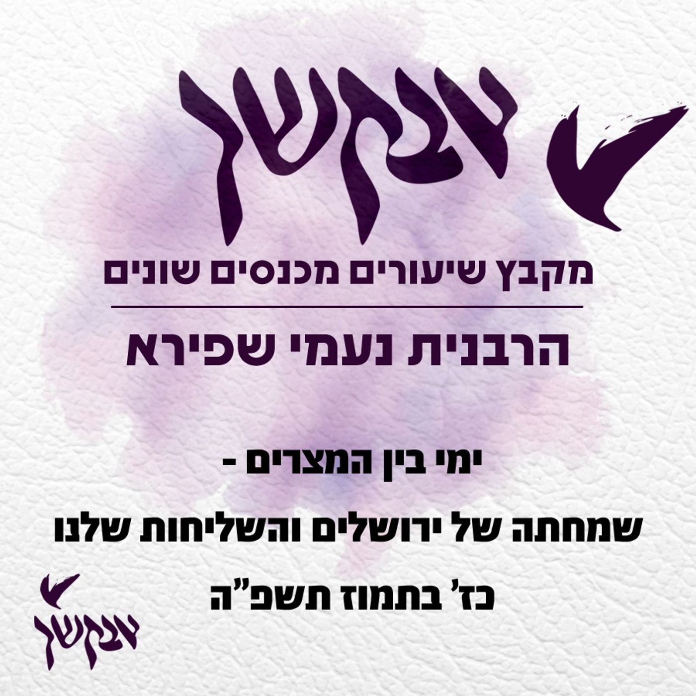 ימי בין המצרים - שמחתה של ירושלים והשליחות שלנו episode artwork