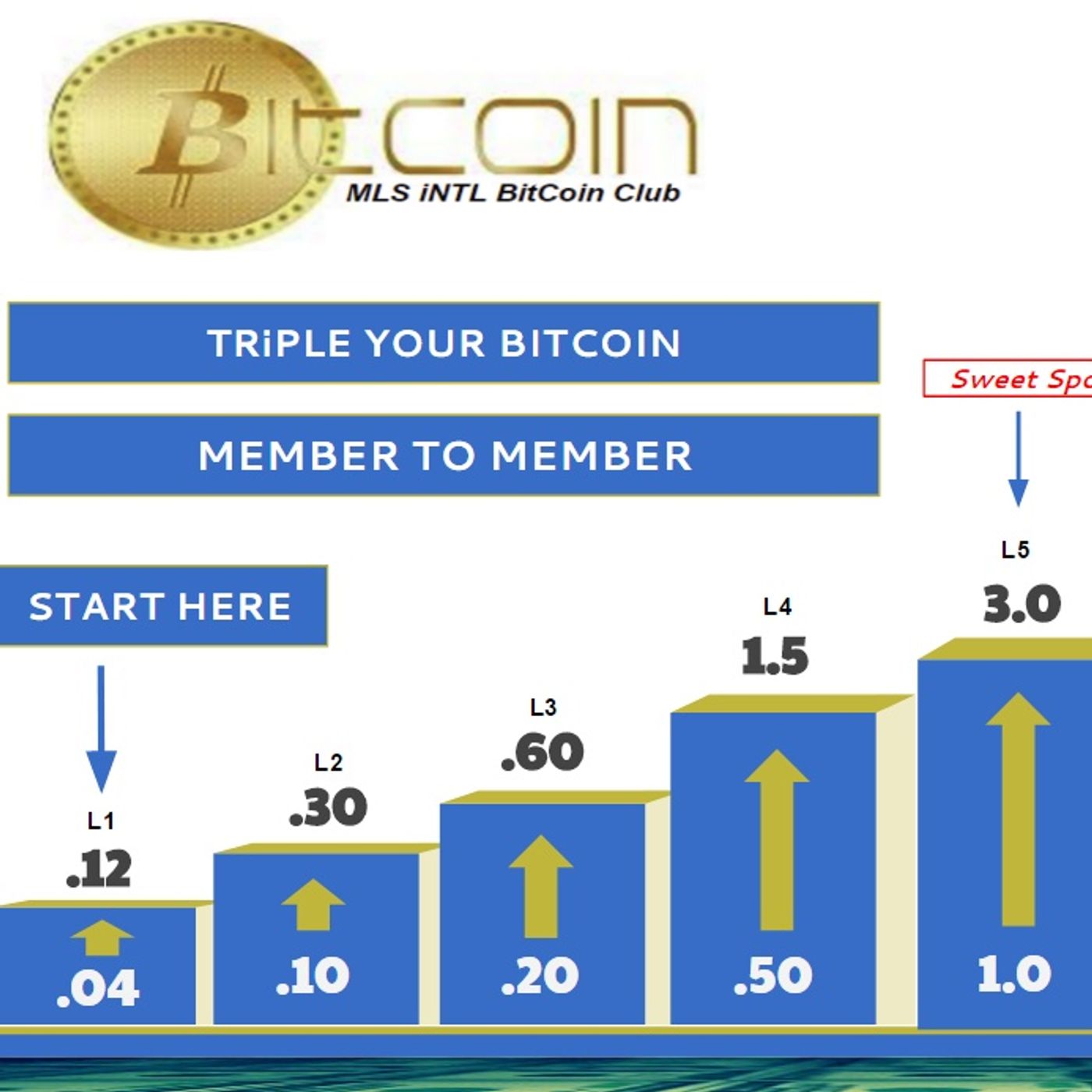 MLS BitCoin Club
