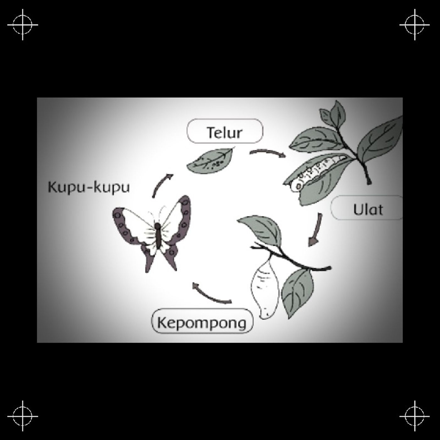 Dunia Kelas 3 SD