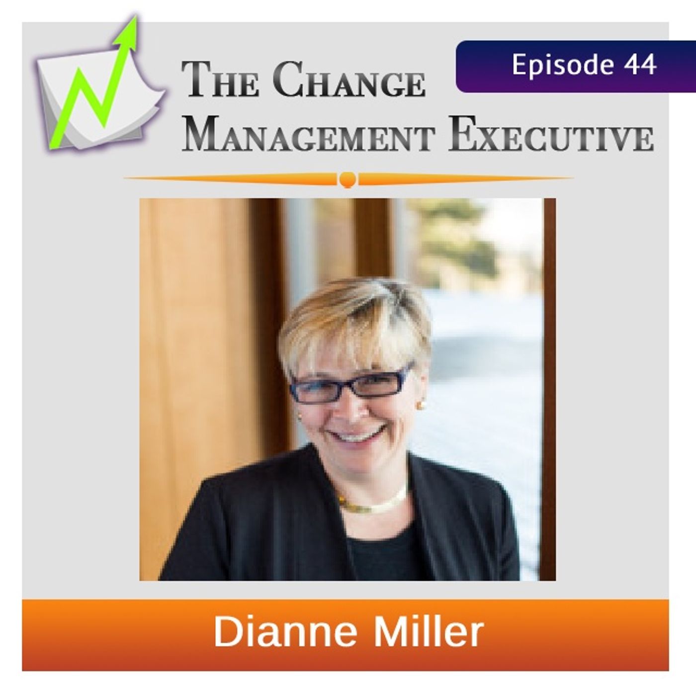 Meeting People Where They are with Dianne Miller - podcast episode cover