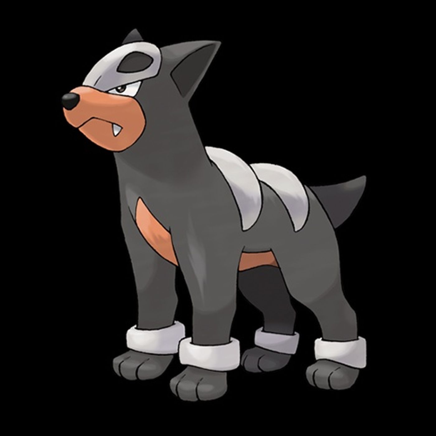 #228 Houndour