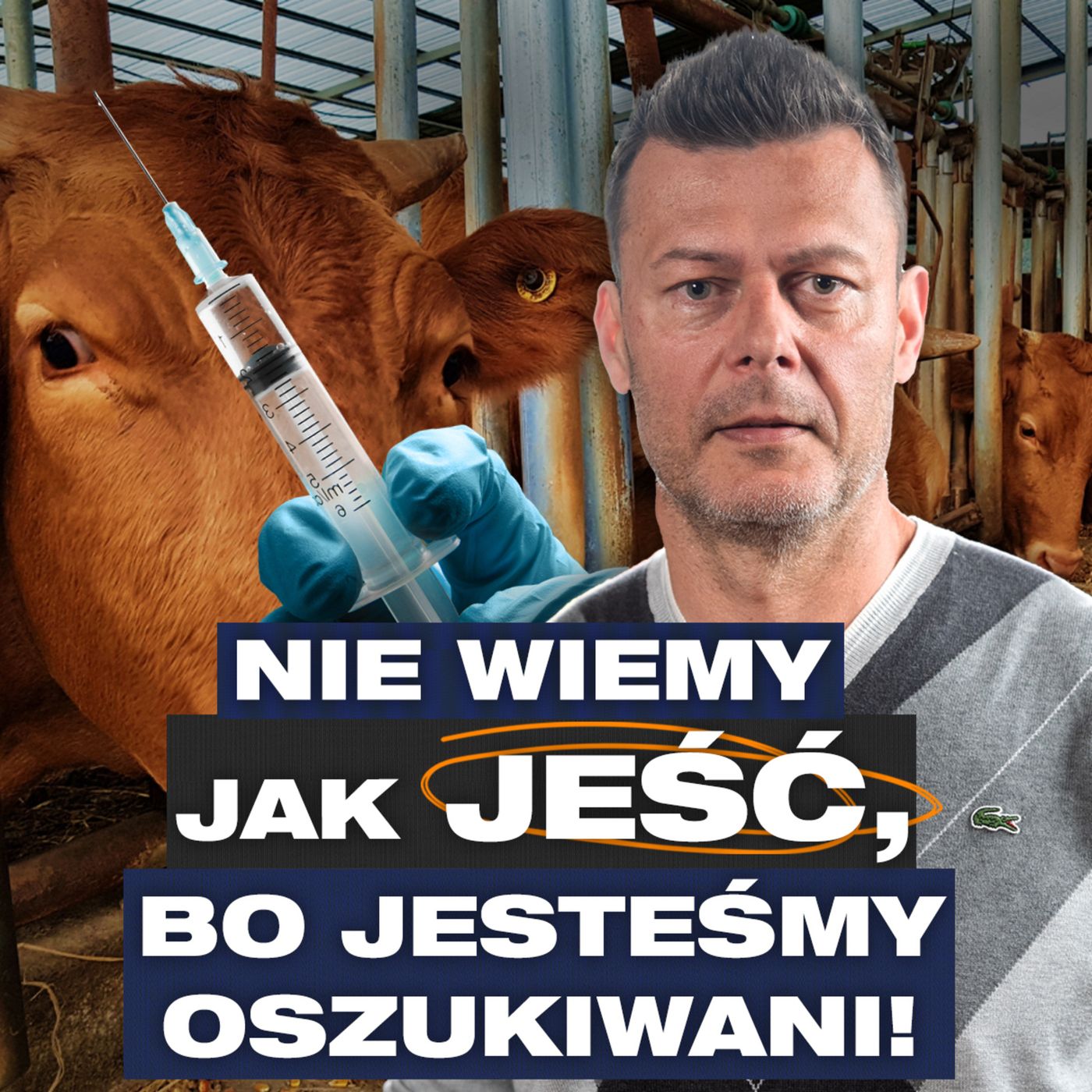 Przygody Przedsiębiorców