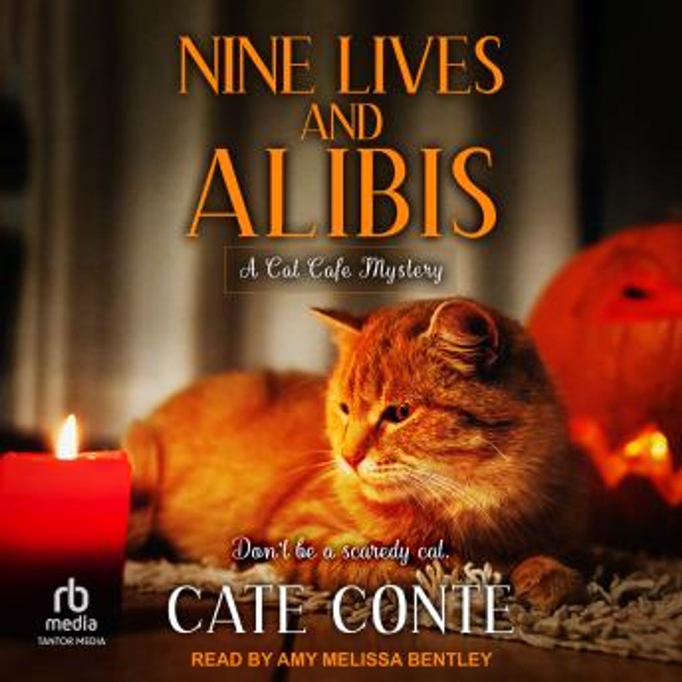 Get Best Full Audiobooks in Mystery, Thriller & Horror, Police & Detective