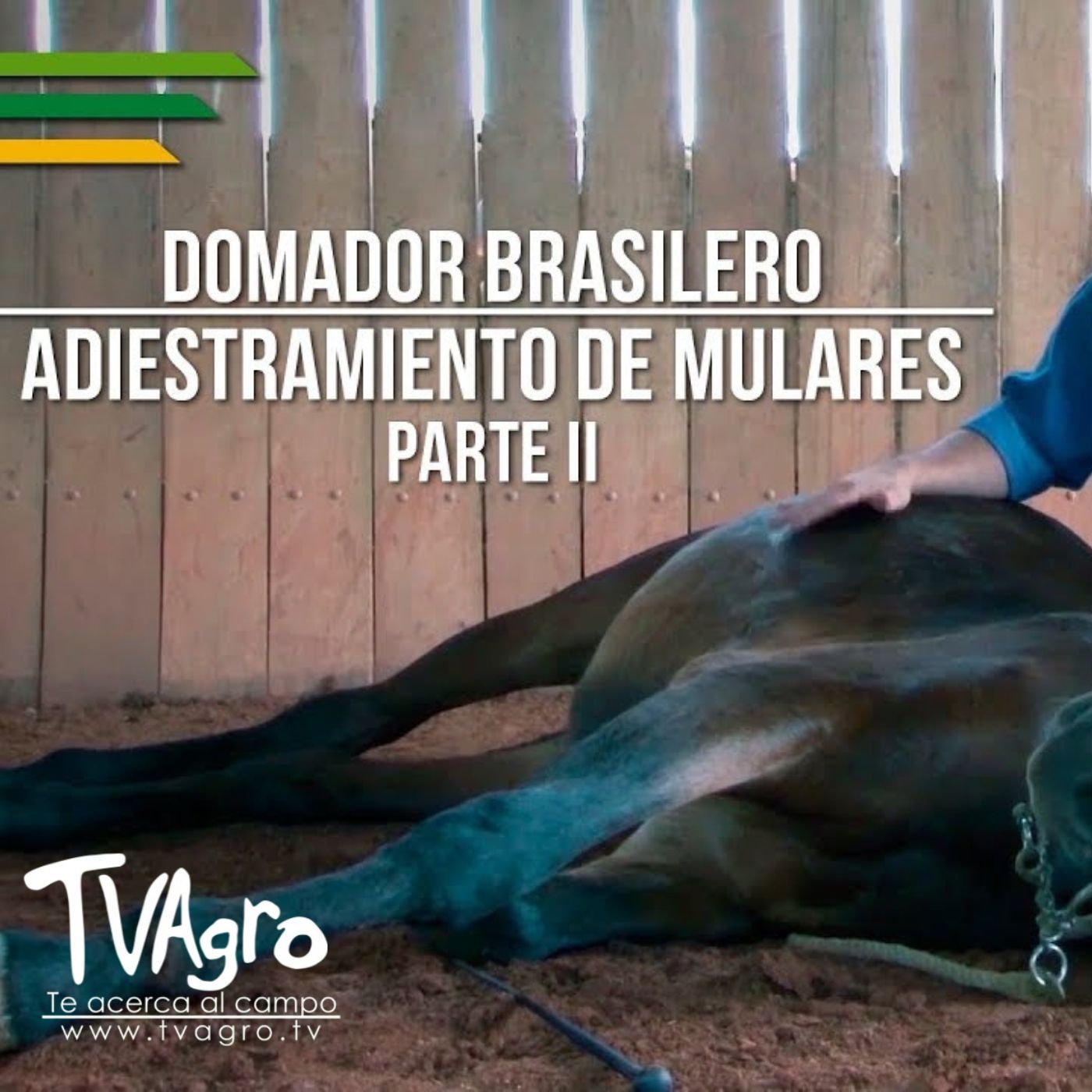 TV AGRO