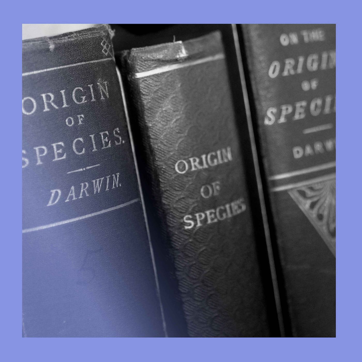 Mohamed Guhaad\'s podcast