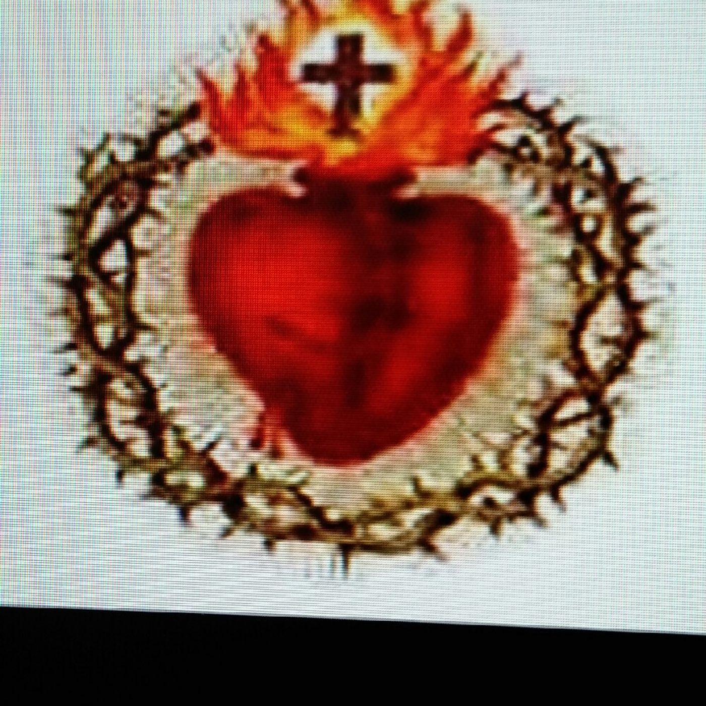 Sacred Heart of Jesus Devotions