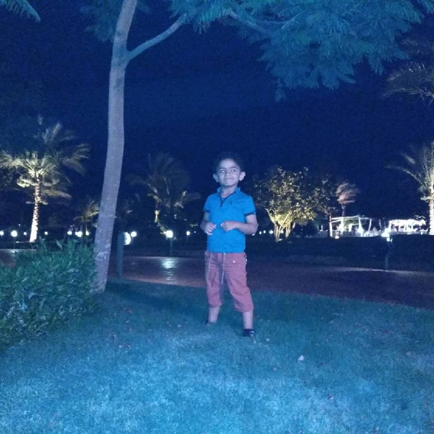Mohammed Hassan\'s show
