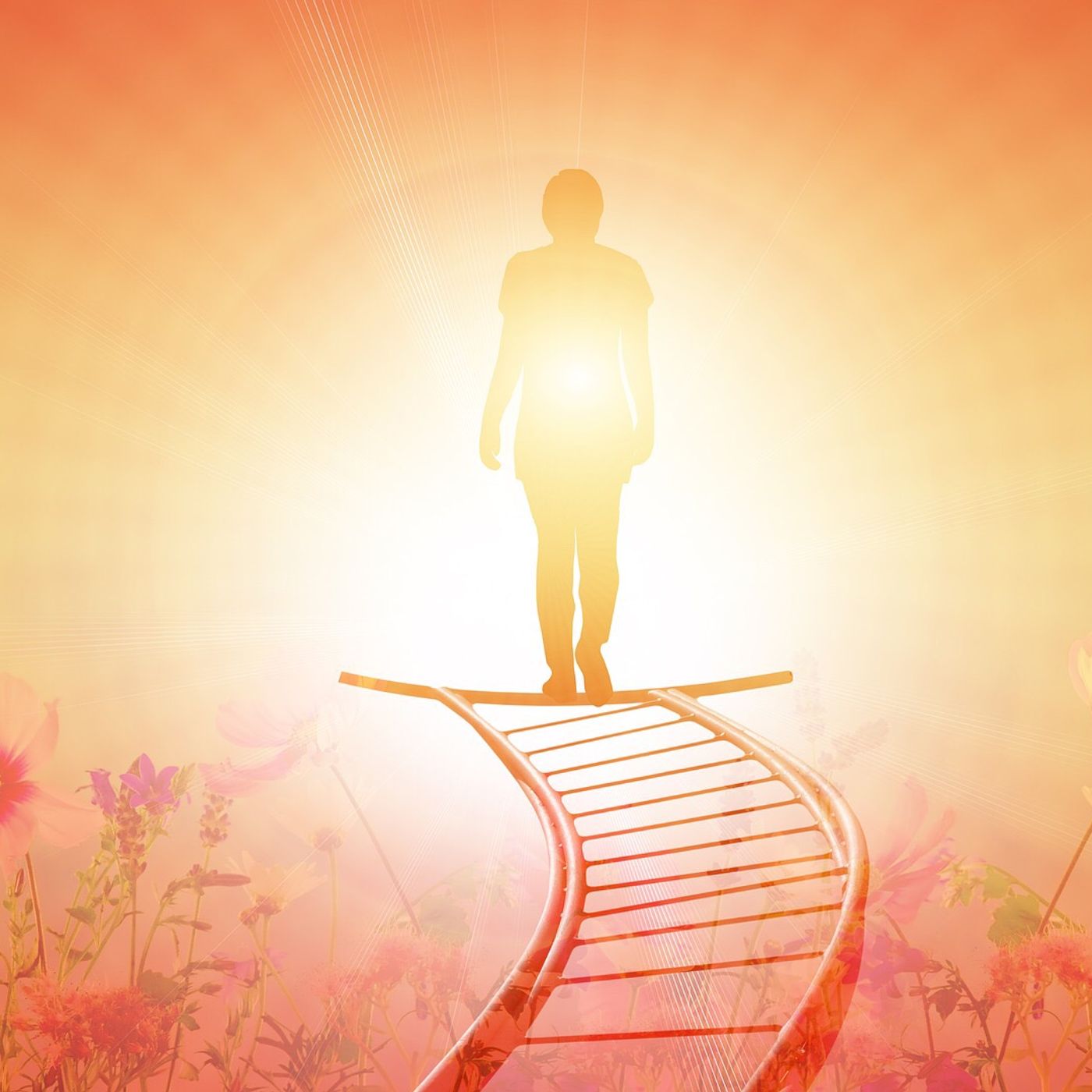 COME SCEGLIERE LA MIGLIORE STRADA SPIRITUALE ? Il modo più potente per percepire gli 8 aspetti di Dio. Le 7 manifestazioni di Dio.
