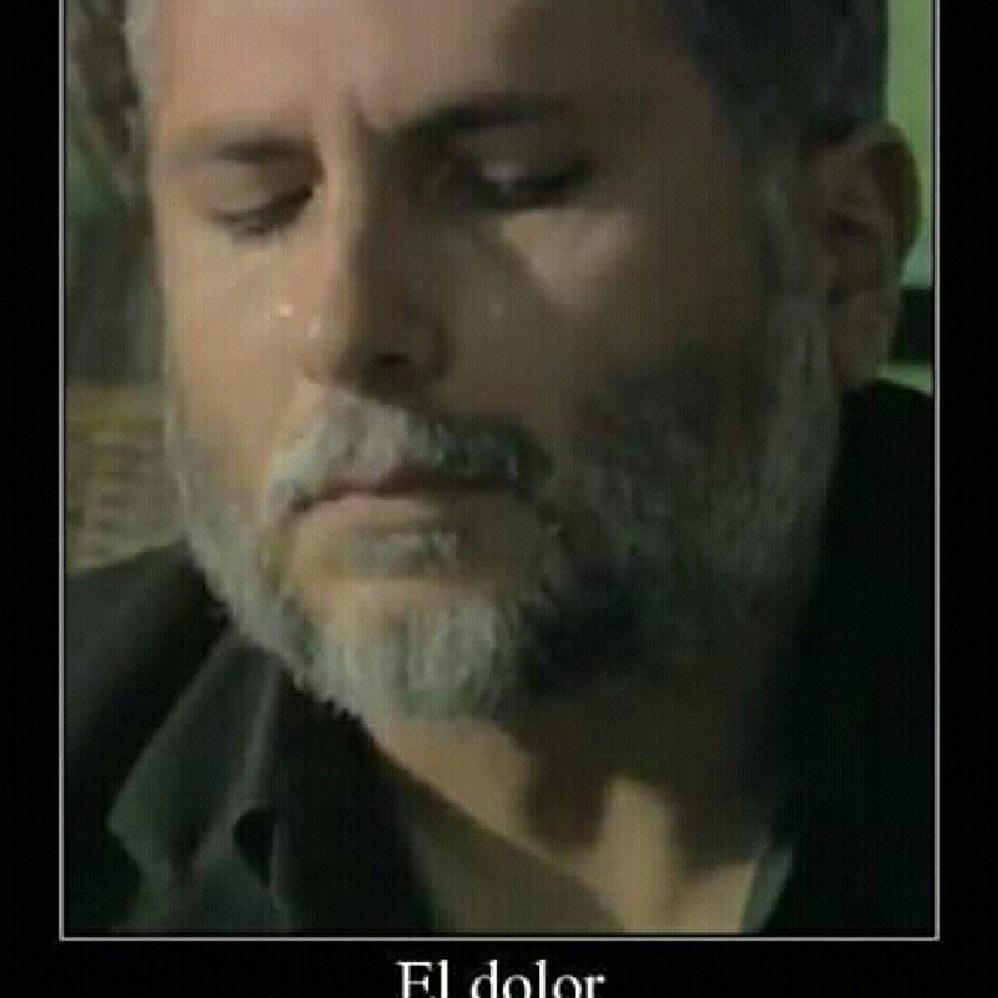 El show de Patricio Morales