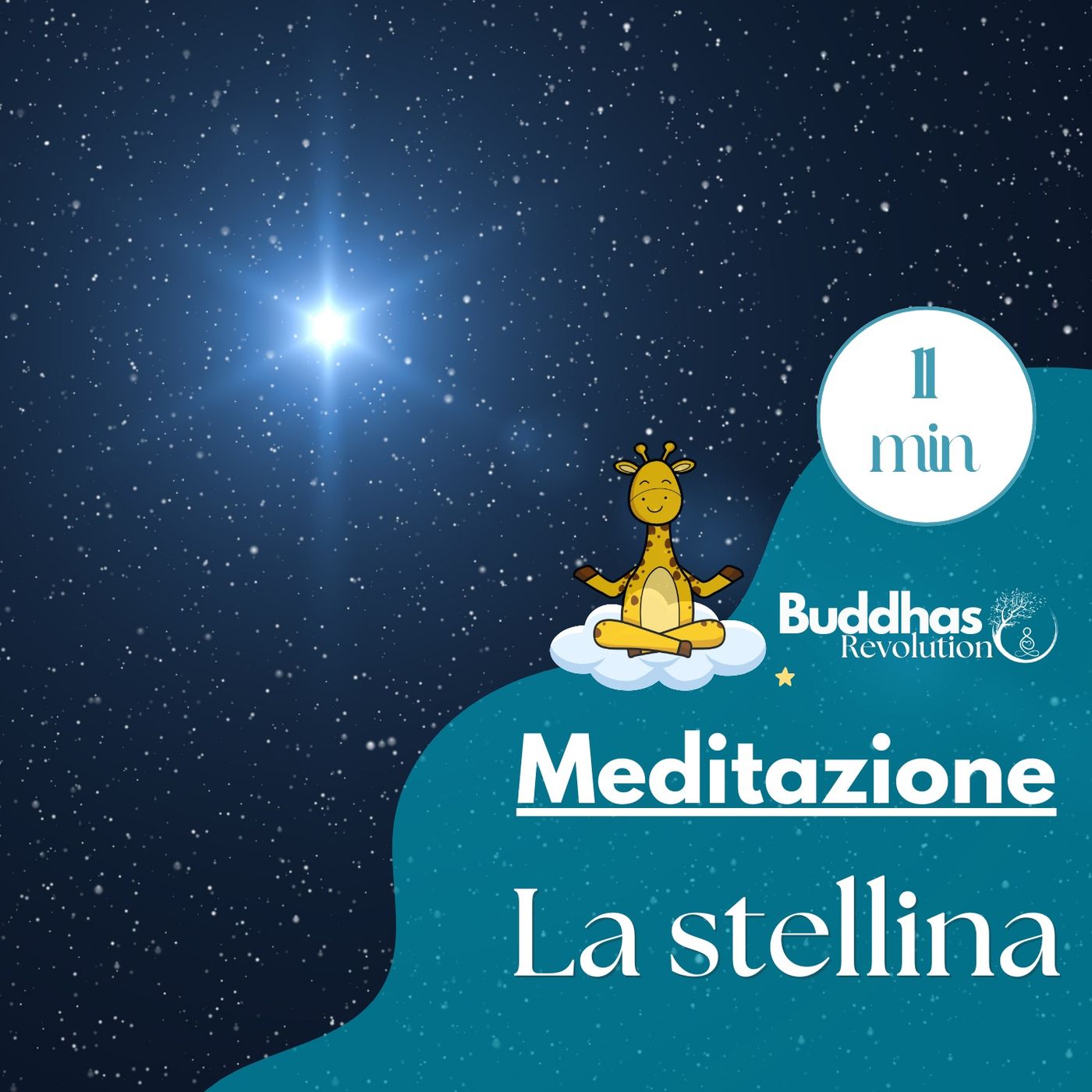 Buddhas Revolution
