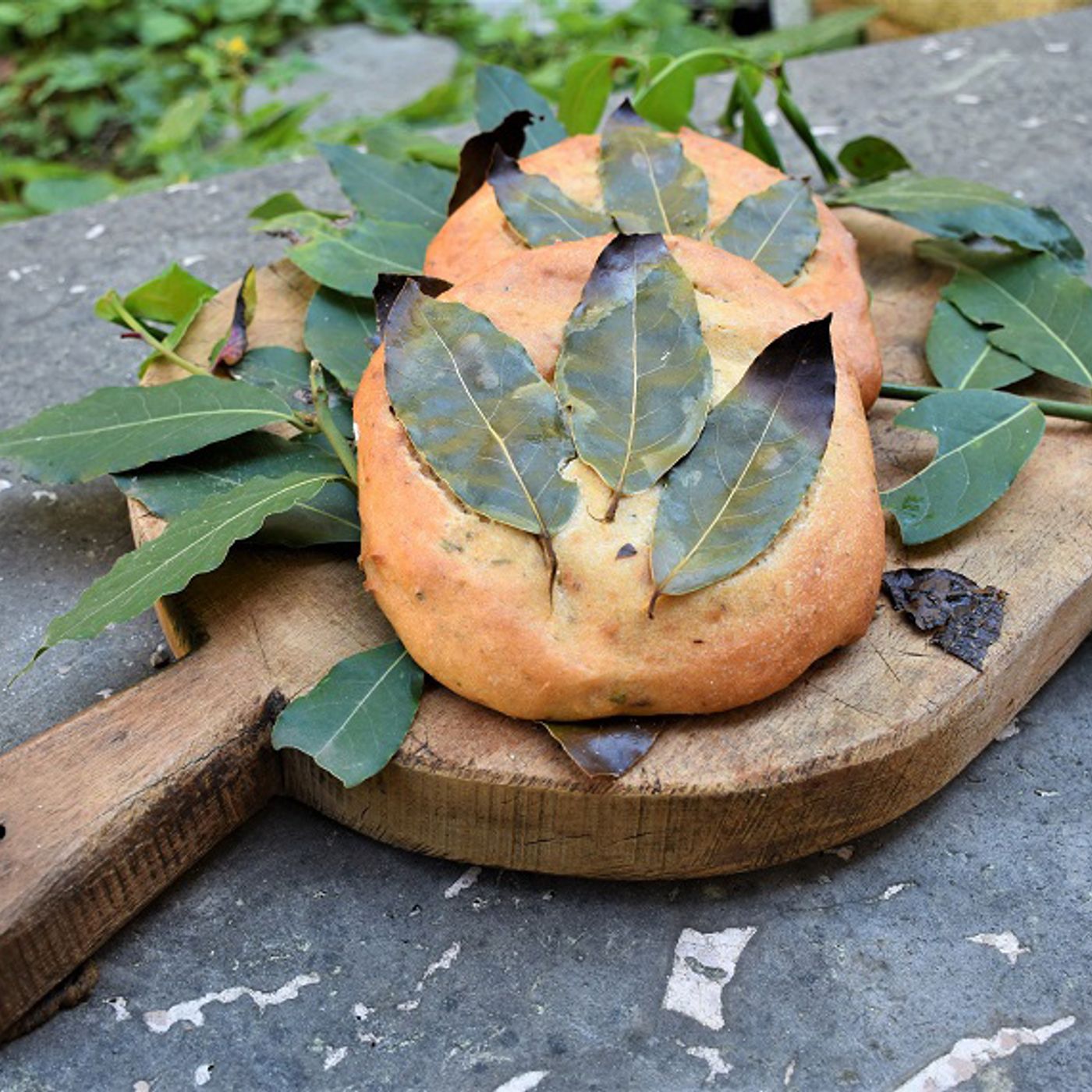 STORIA DELL'ALIMENTAZIONE UMANA