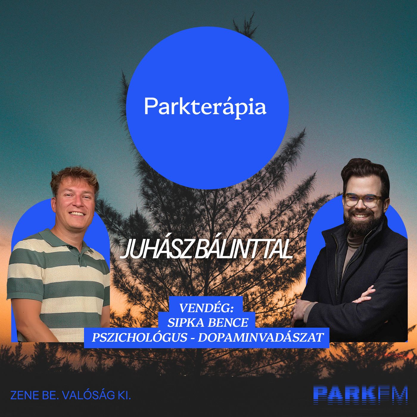 Miért nem tudod letenni a telefont? - Sipka Bence | Park FM - Parkterápia Miért nem tudod letenni a telefont? - Sipka Bence | Park FM - Parkterápia