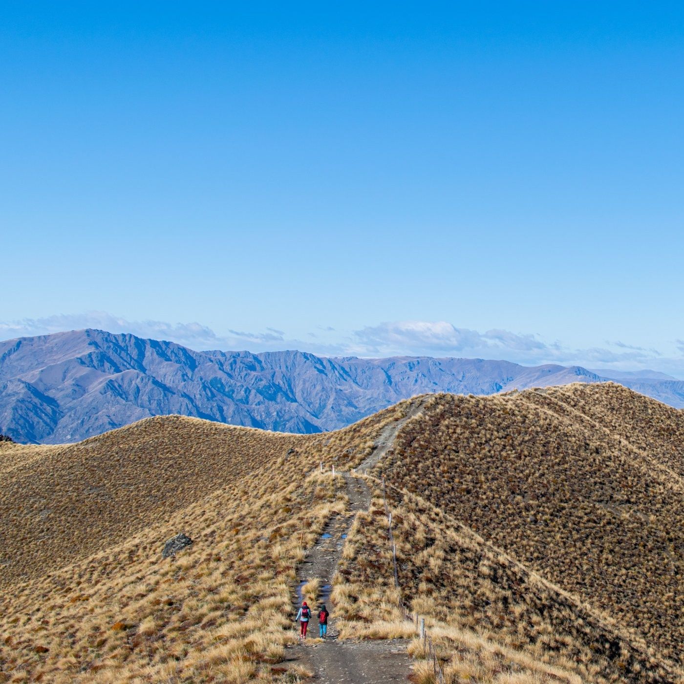 Minutul de limba română
