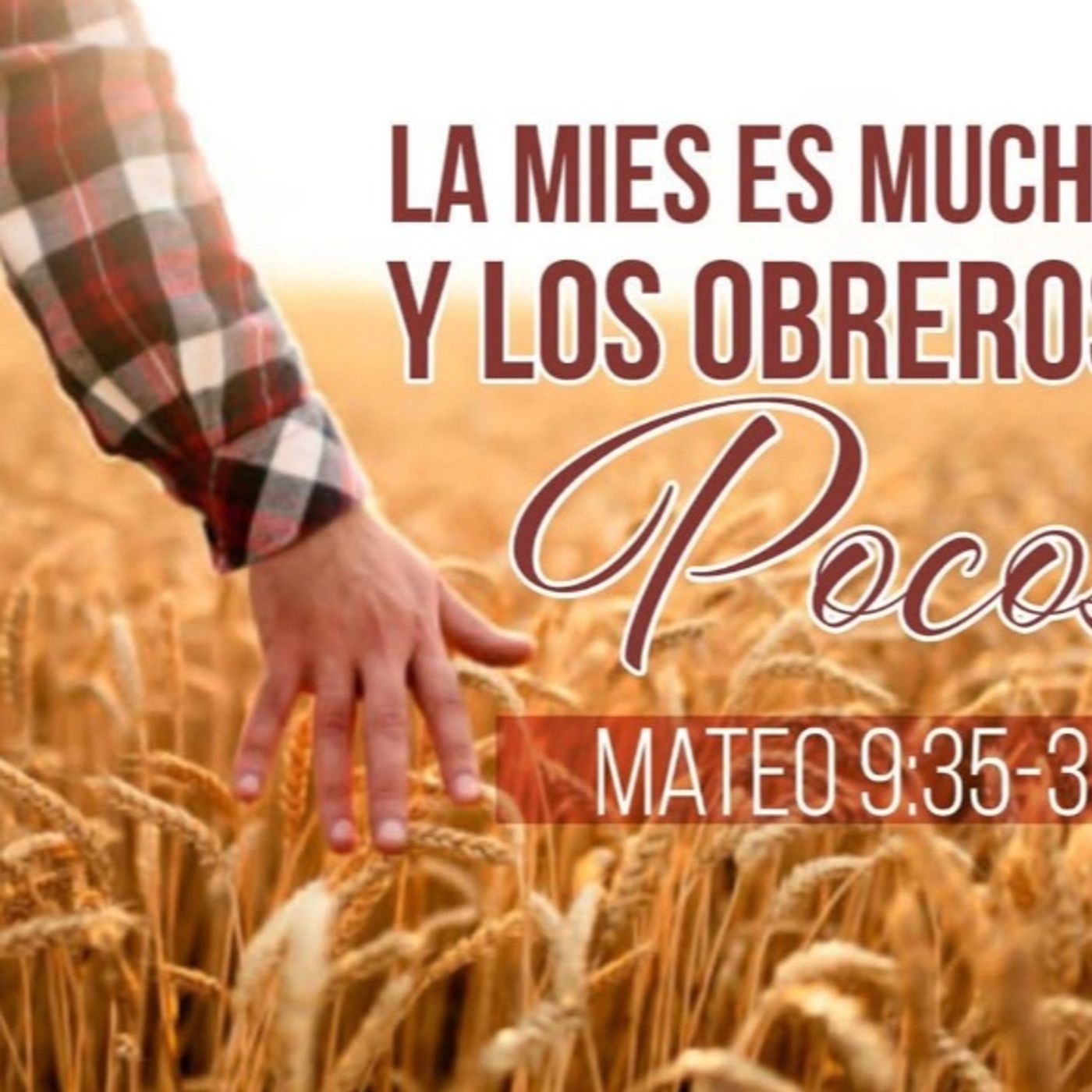 Su delicia