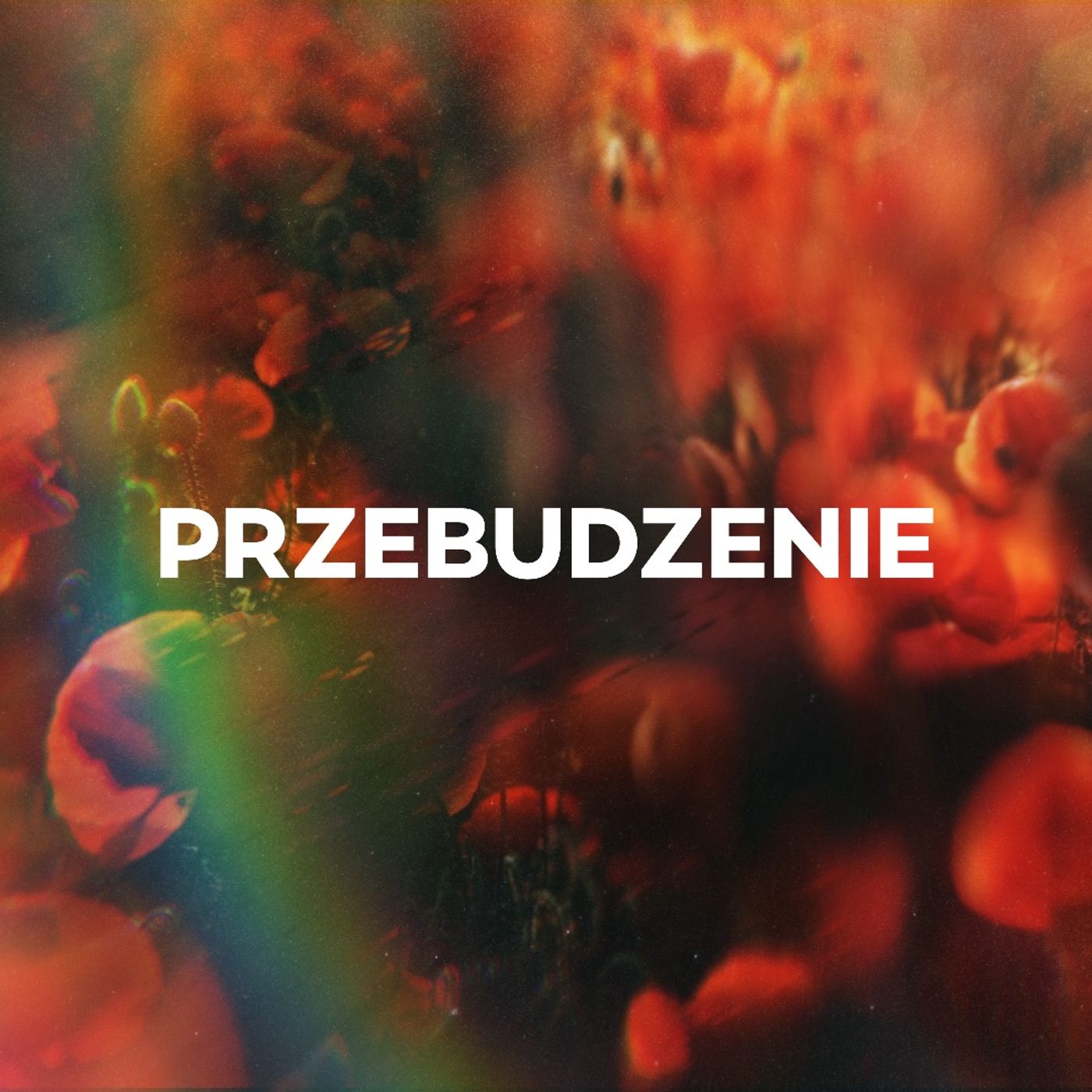 Zbór w Gryfinie Kościół Zielonoświątkowy