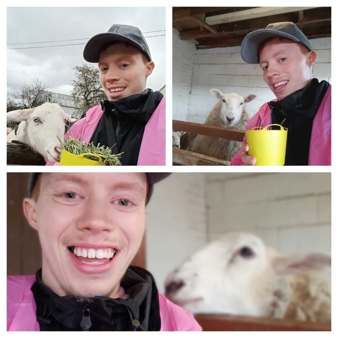A Day In The Life Of Pete!