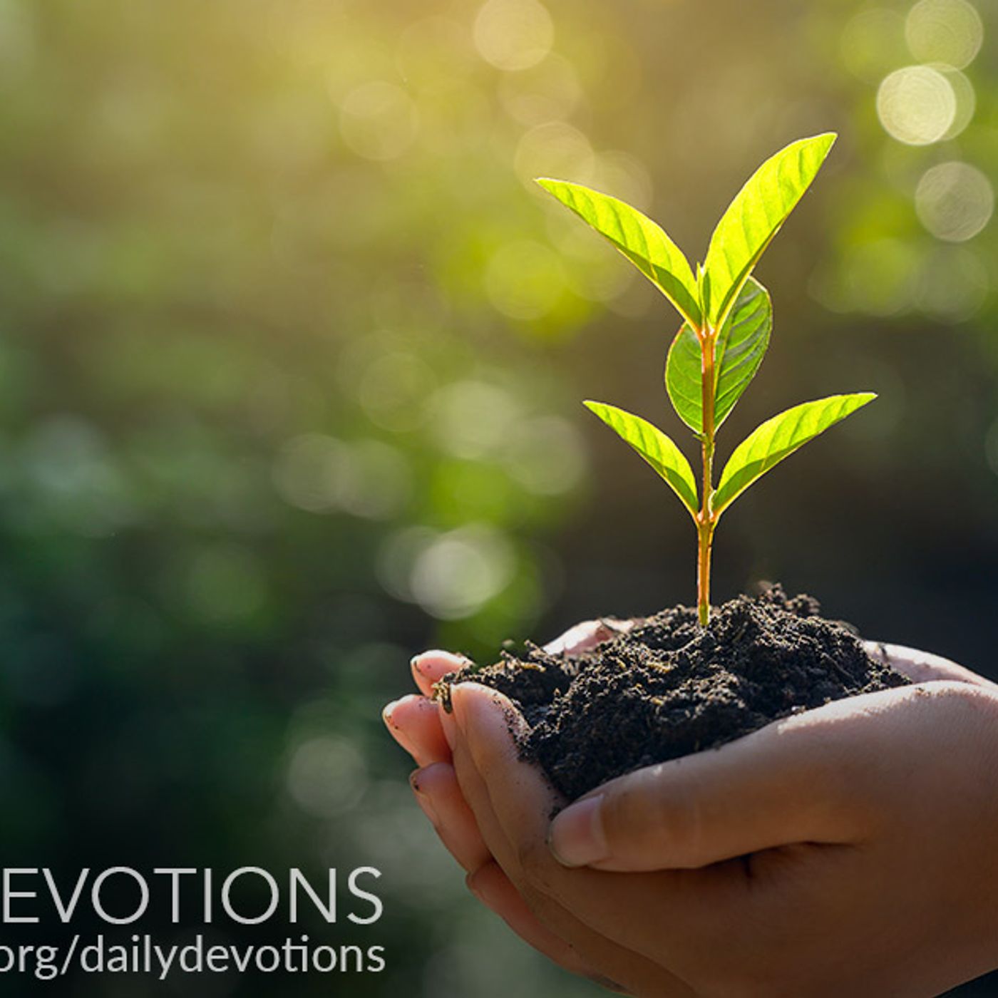Artwork for Daily Devotions
