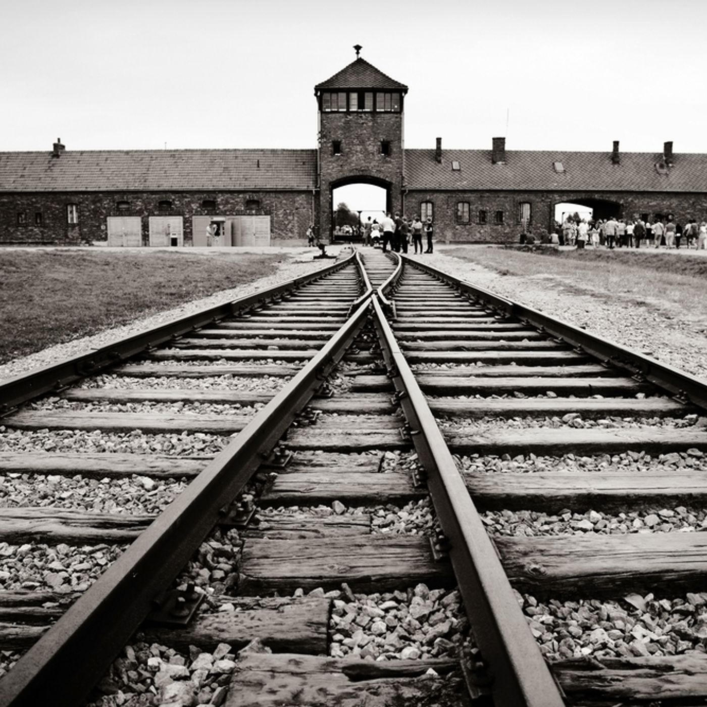 La liberazione di Auschwitz - La storia di Katarina episode artwork