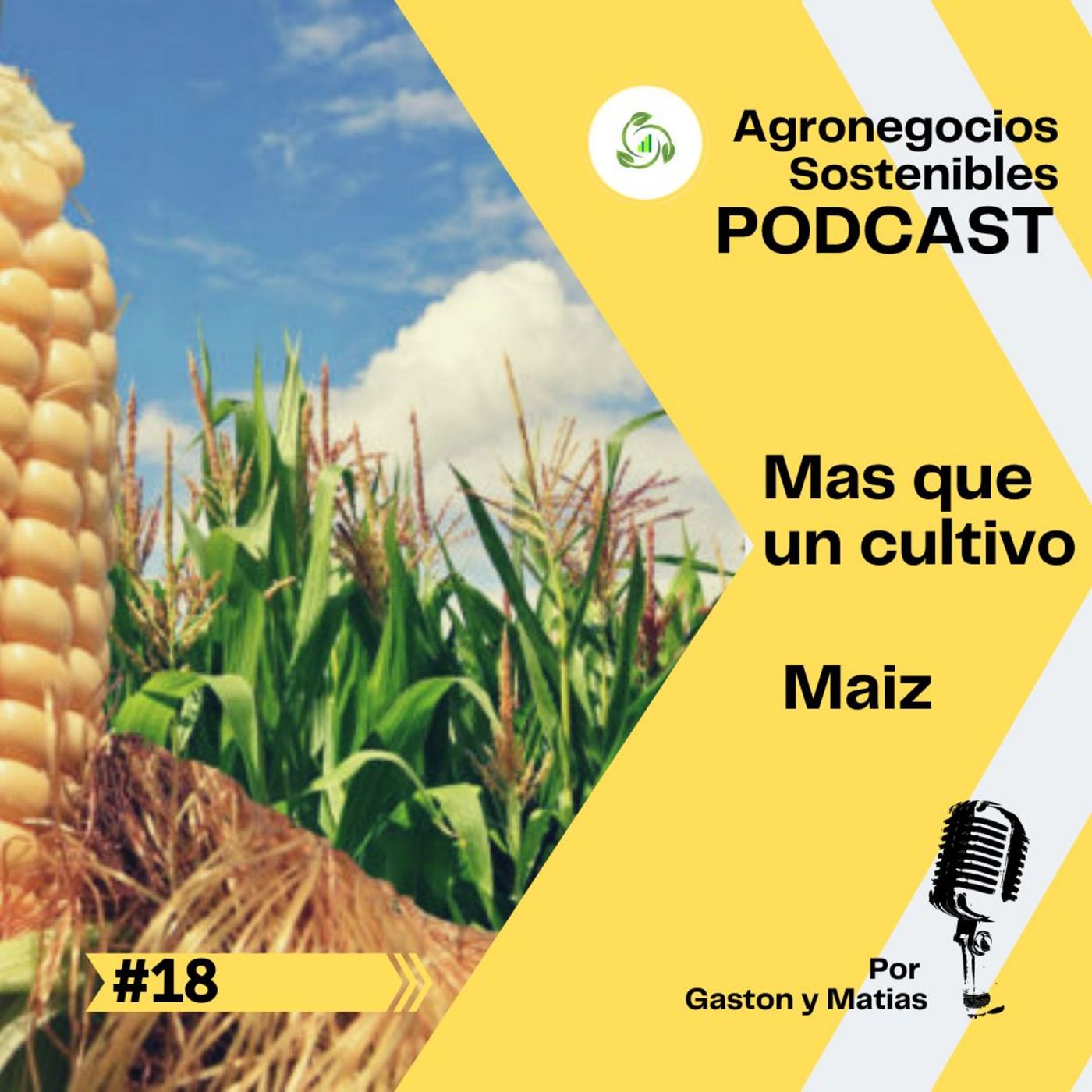 PENSANDO EL AGRO