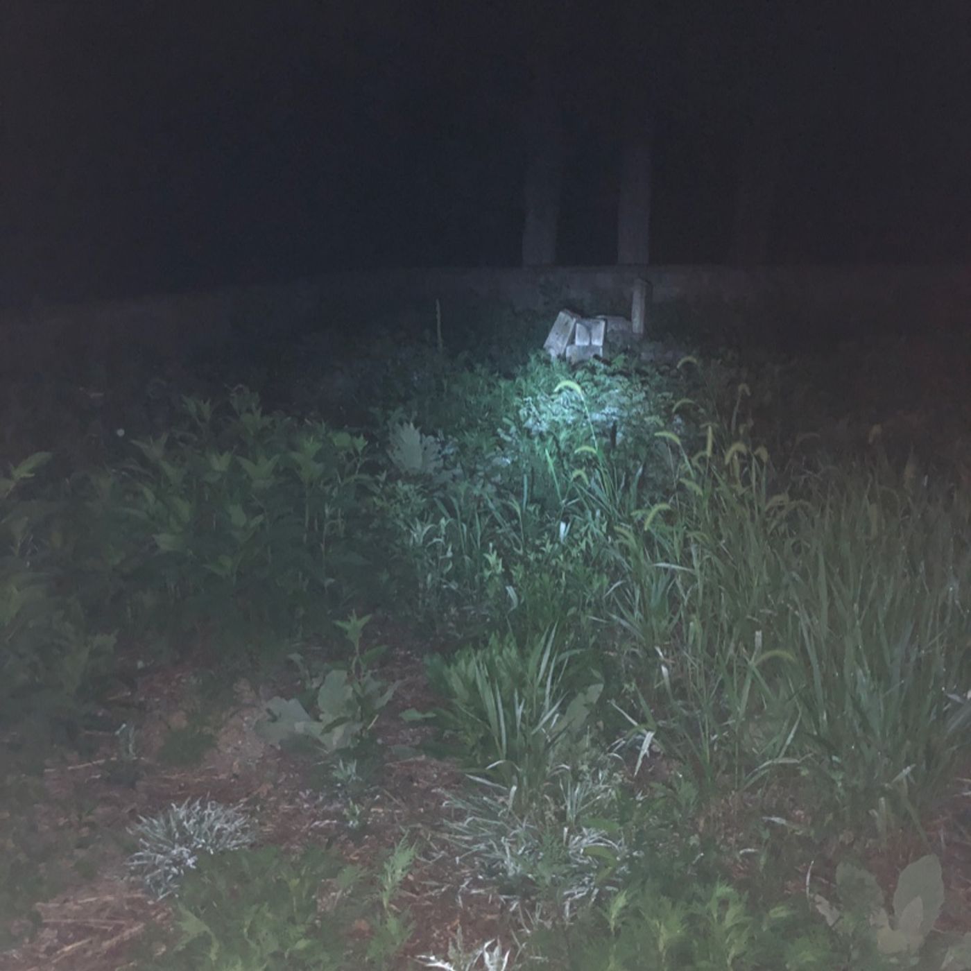 Episode 37 - full moon ghost hunts