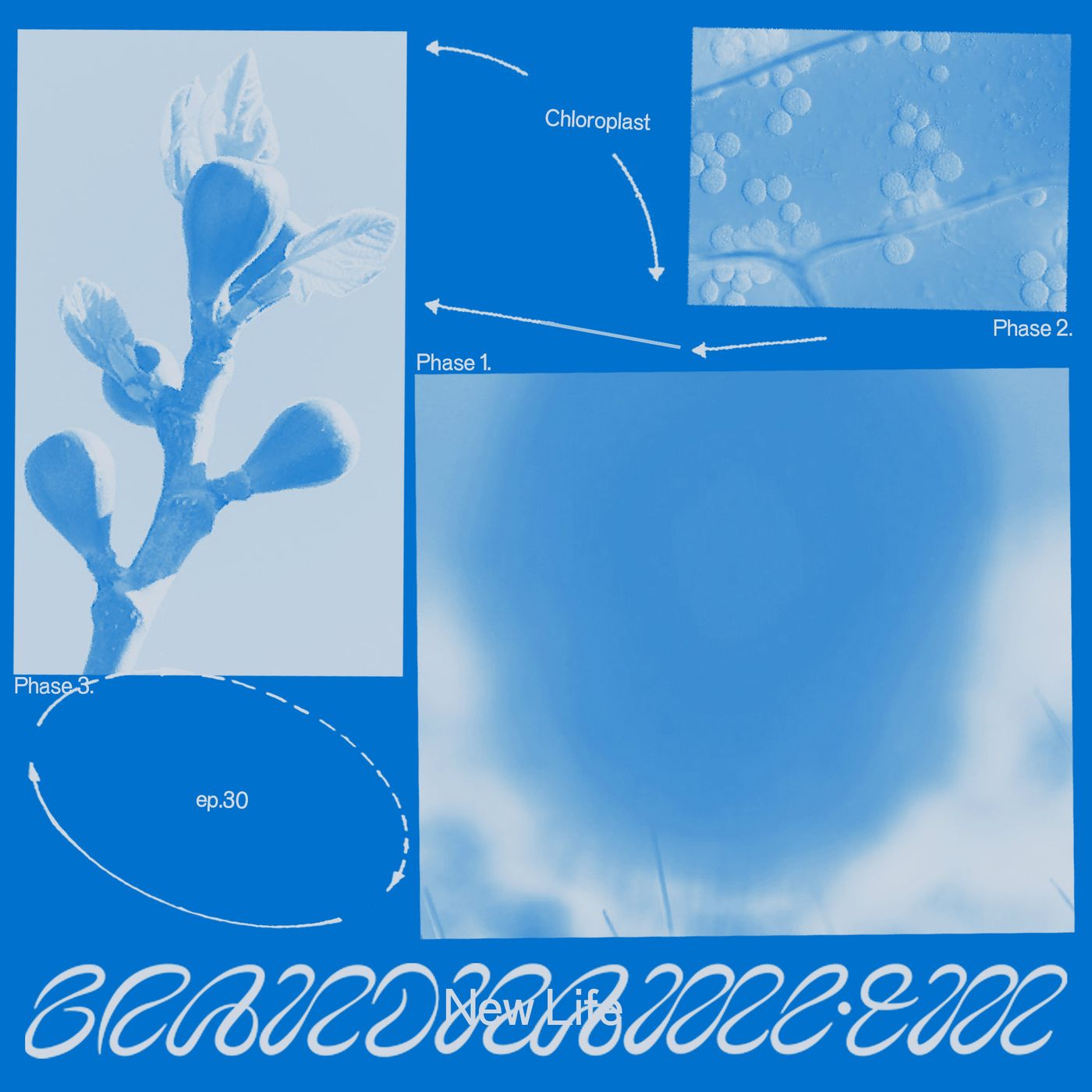 brandname™