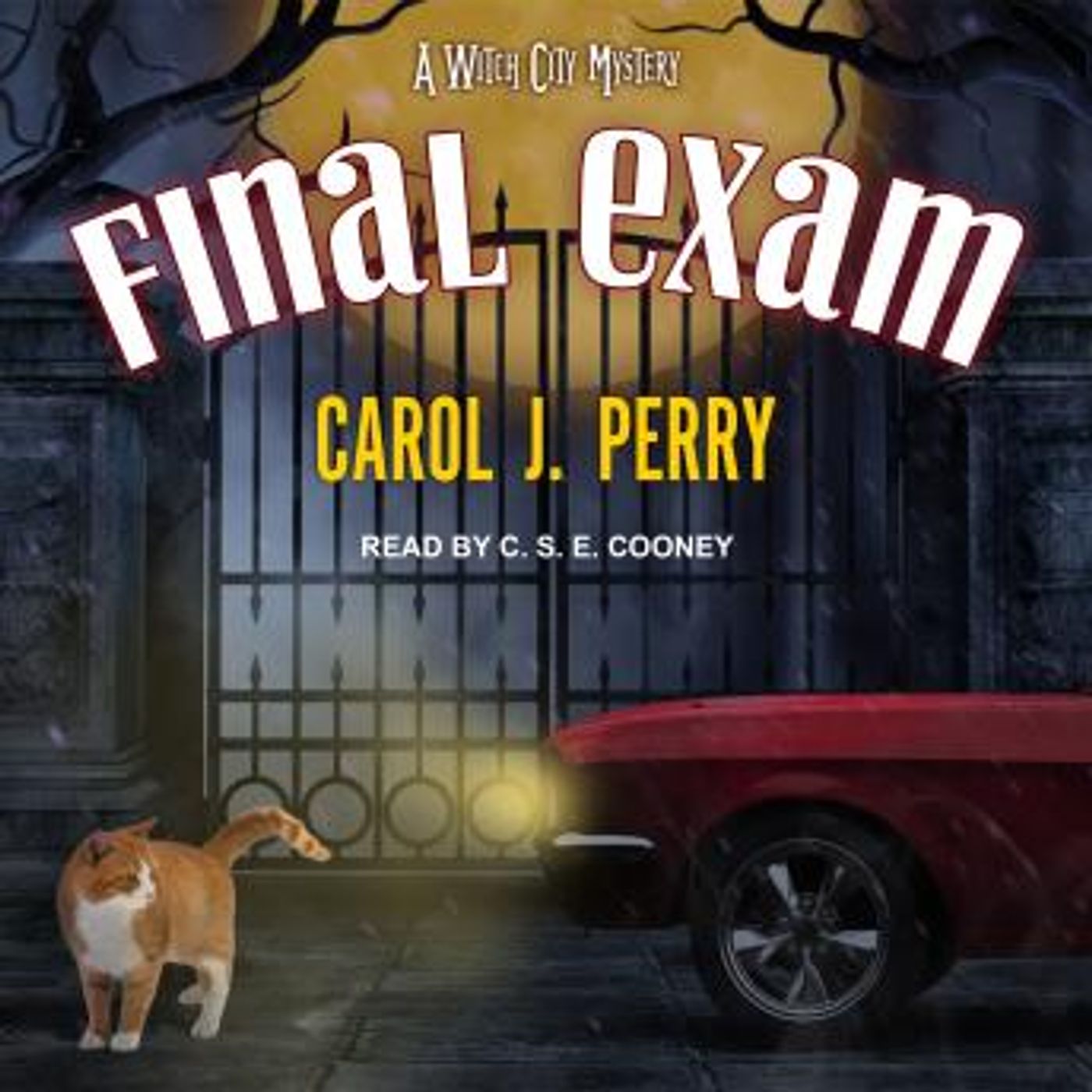 Listen to Full Audiobooks in Mystery, Thriller & Horror, Police & Detective