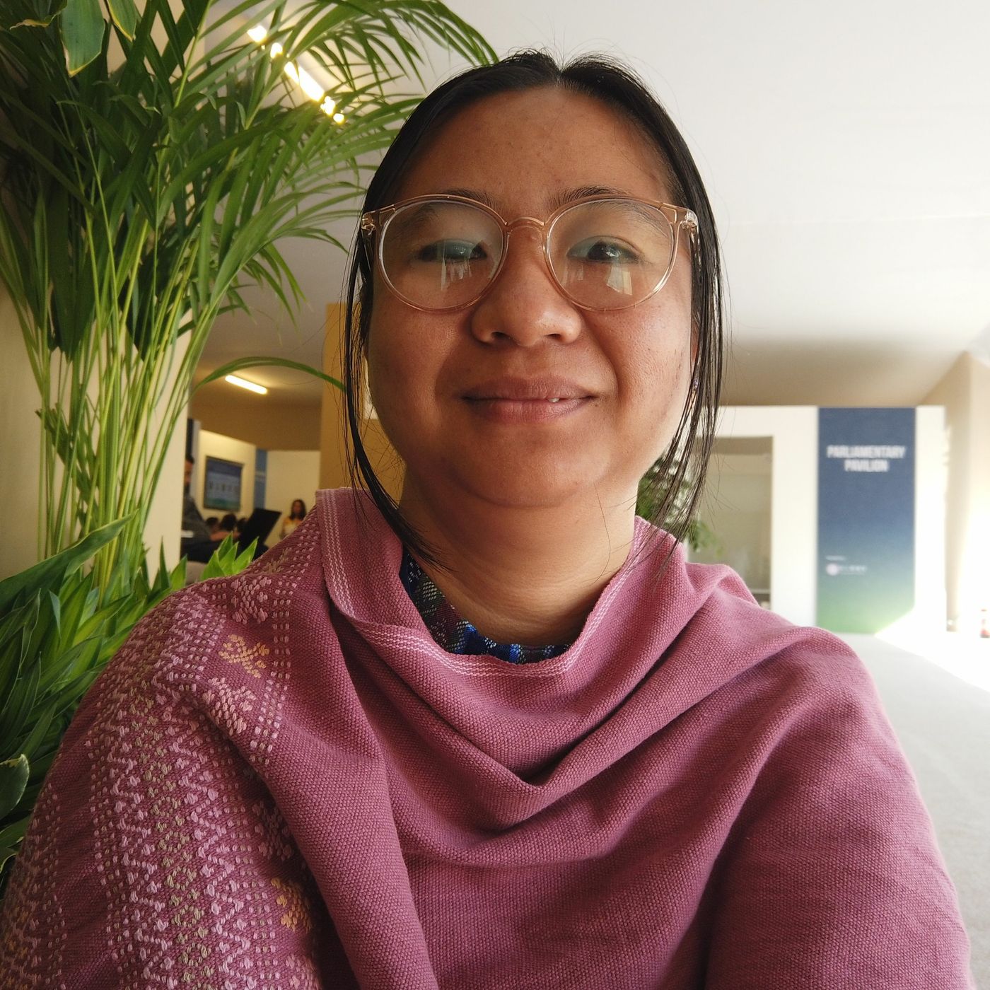 COP28 - The Difference Between Indigenous Peoples And Local Communities