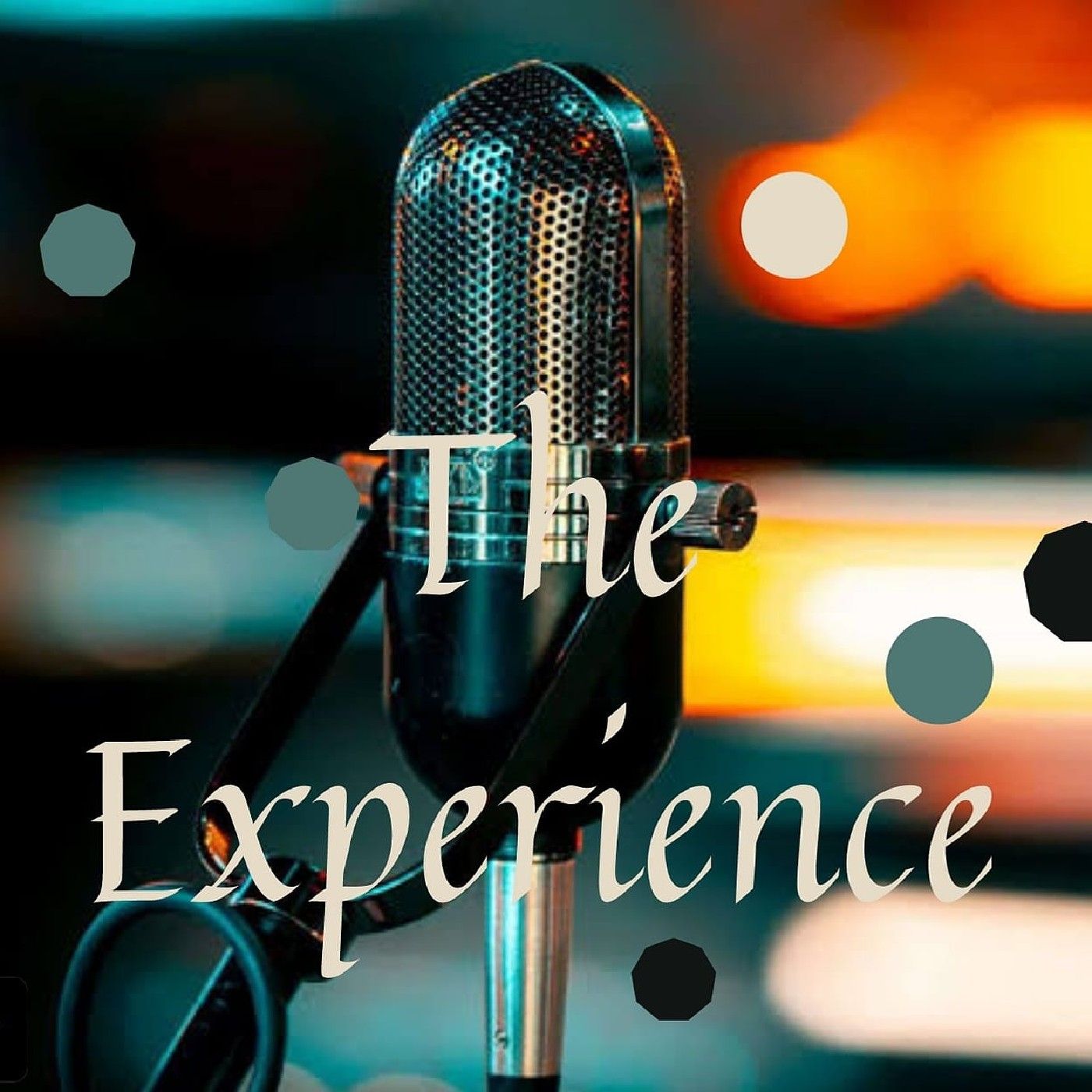 "THE EXPERIENCE "