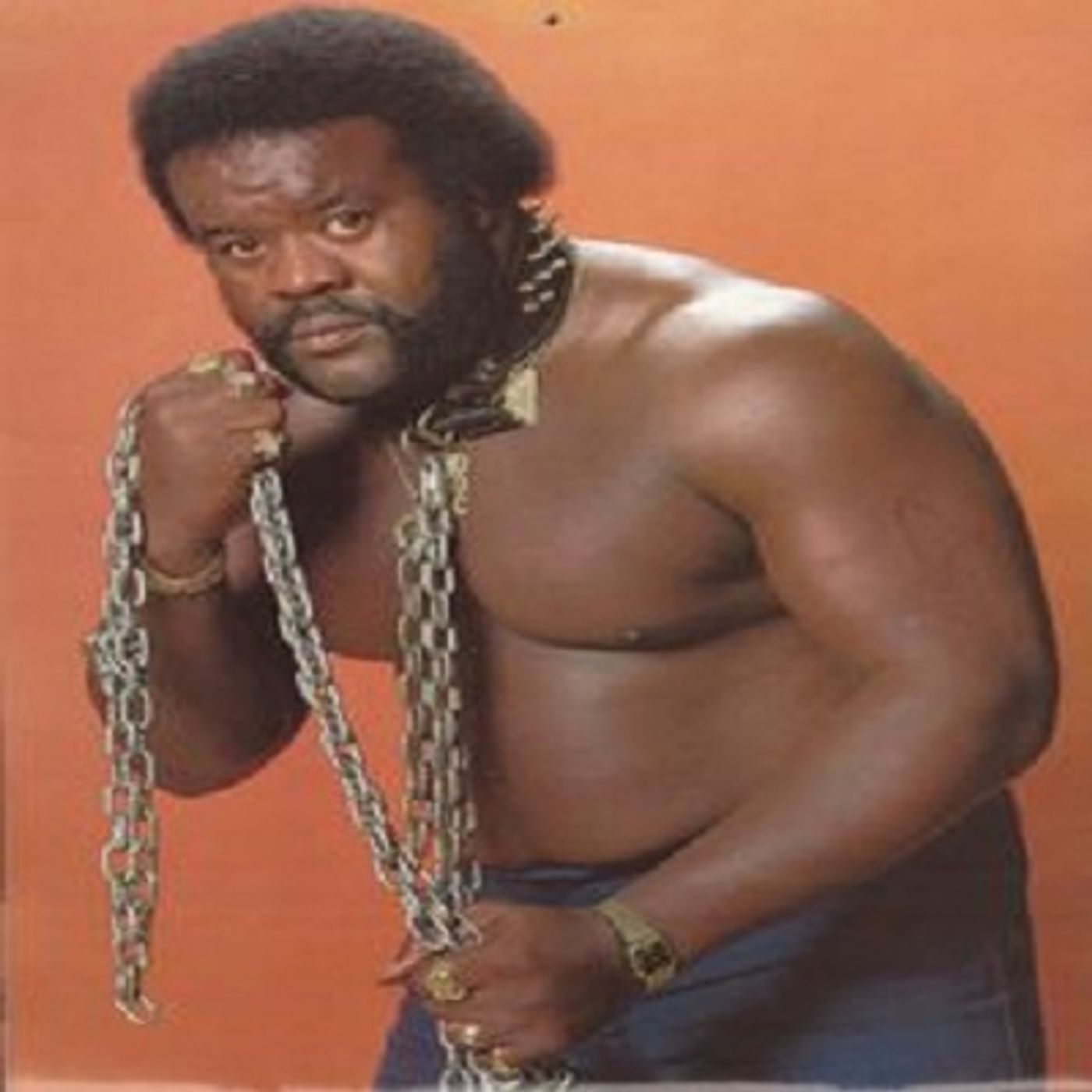 The Junkyard Dog Though The Eyes Of Wacko Bob