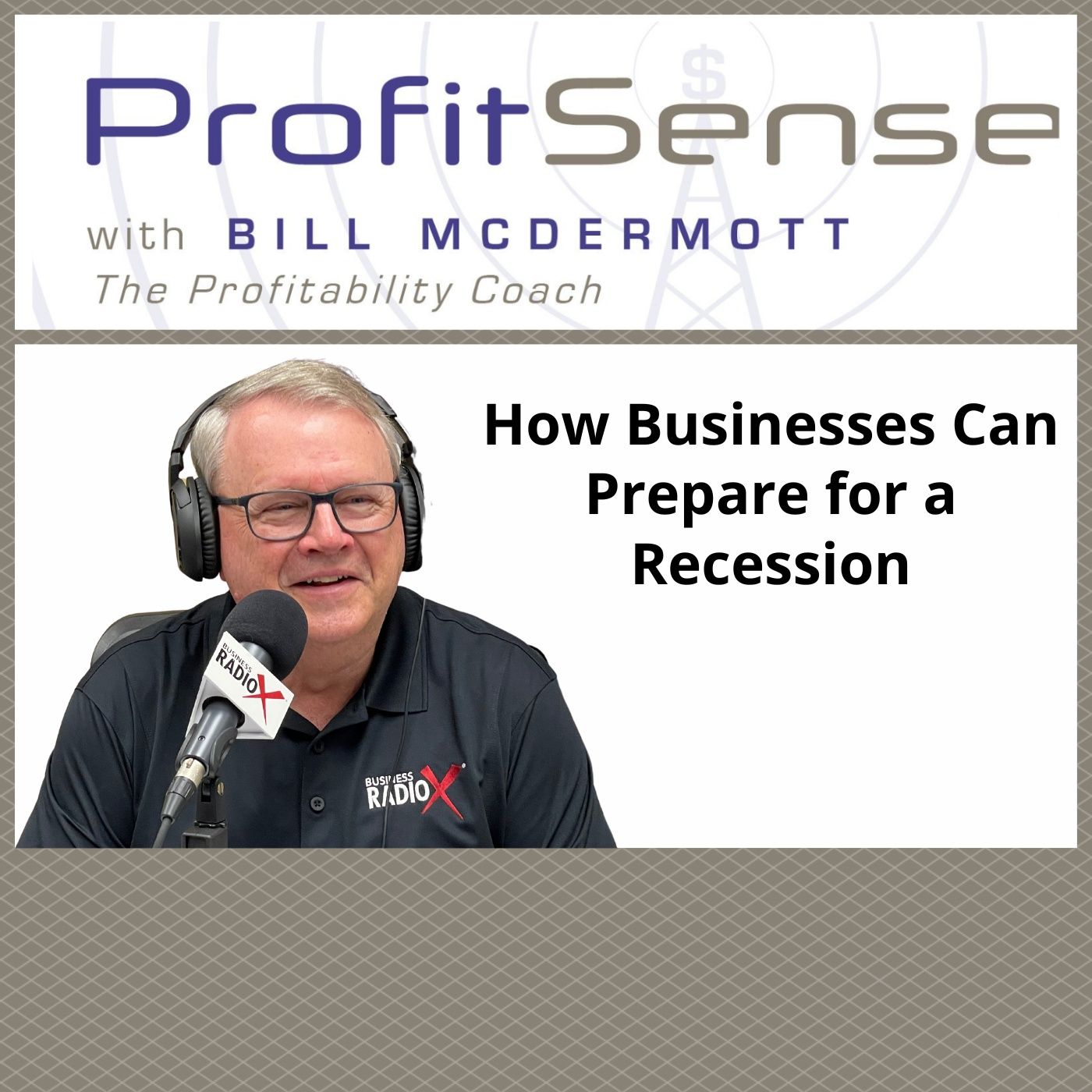How Businesses Can Prepare for a Recession, with Bill McDermott, Host of ProfitSense