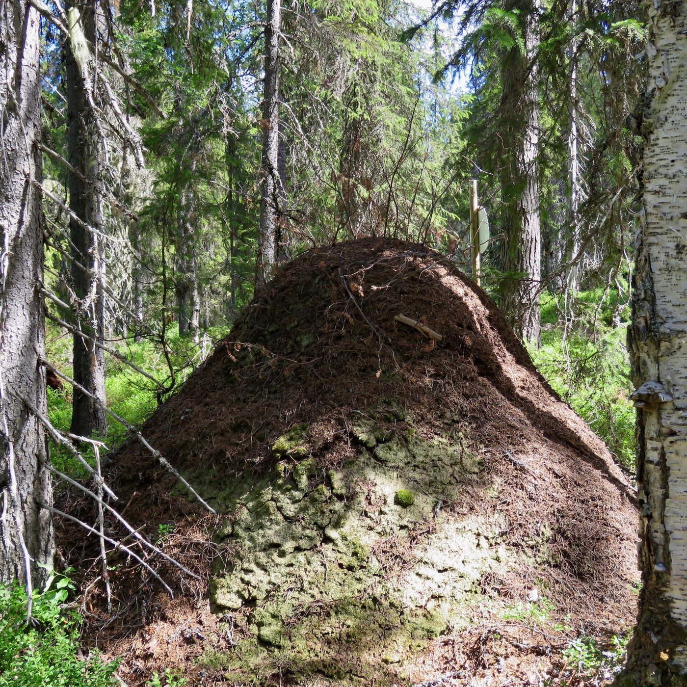 Suomenkielisiä podcasteja